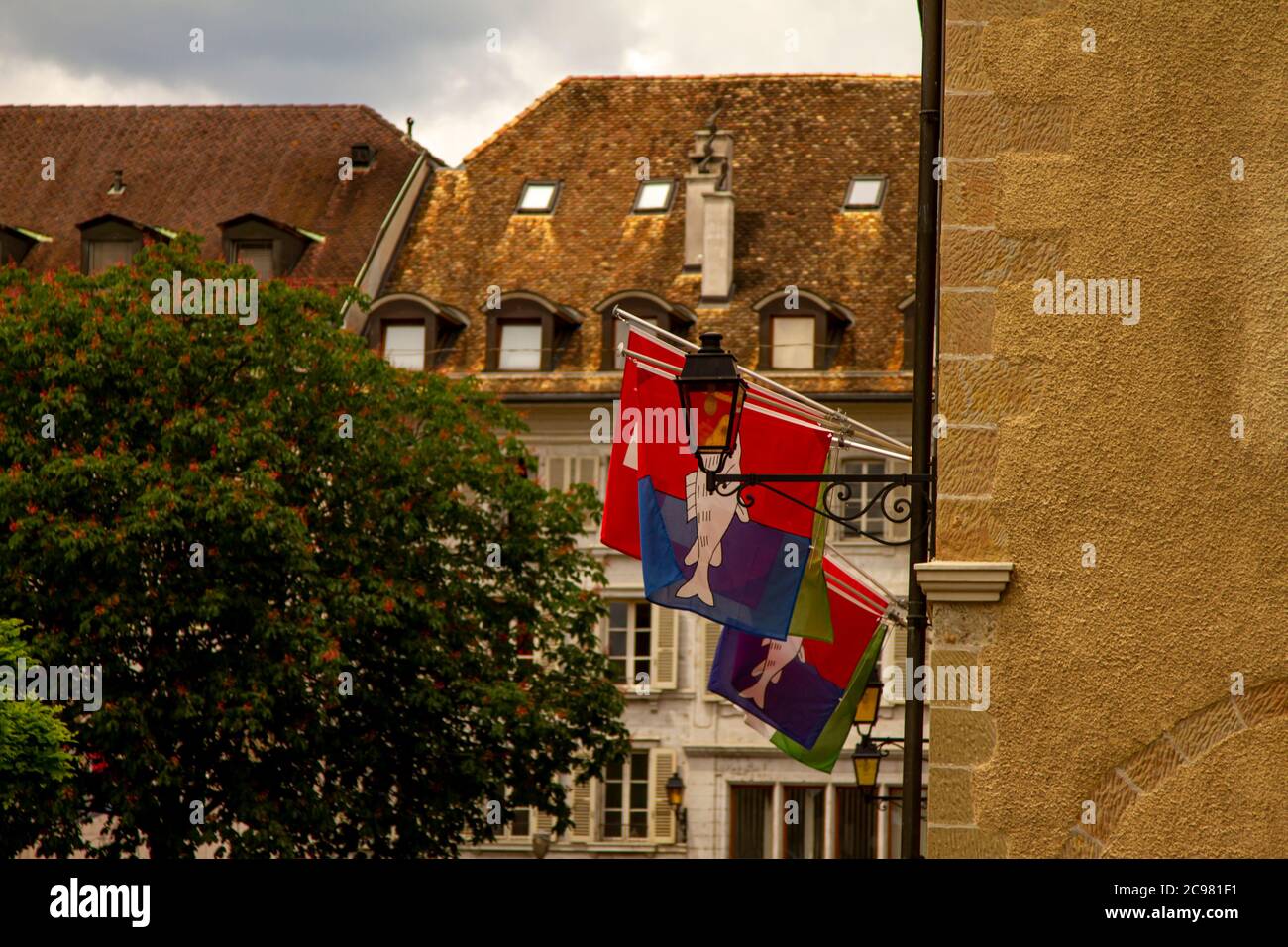 Nyon, Schweiz 06/01/2010, Rote und Blaue Flagge von Nyon mit einem Fischemblem darauf. Stadtbild im Hintergrund und eine Straßenlaterne im Vordergrund Stockfoto