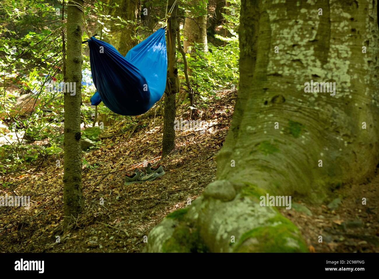 Camping im Wald Wanderer entspannend in blauen Hängematten Schlafsack wie Shinrin Yoku oder Waldbaden Freizeitaktivität Eskapismus Lifestyle Stockfoto