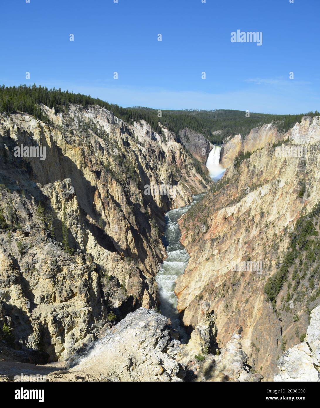 Spätfrühling im Yellowstone National Park: Blick auf den Grand Canyon des Yellowstone River zu den Lower Yellowstone Falls vom Artist Point Stockfoto