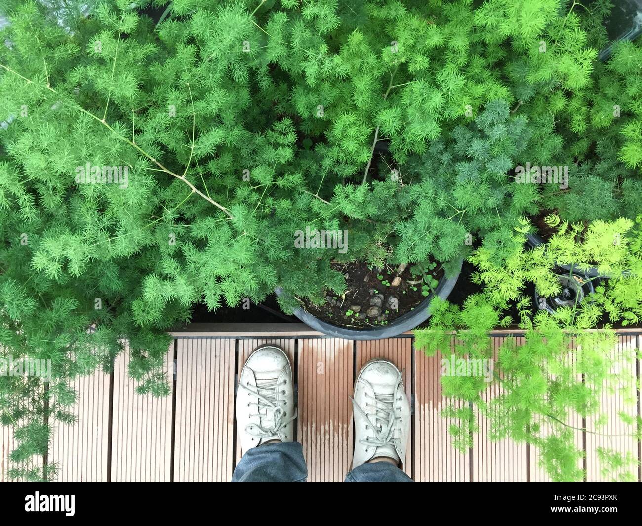 Die Leute schauen hinunter zum Gartenboden mit weißen Turnschuhen Stockfoto