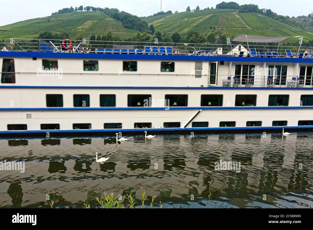 Flussboot angedockt, touristische Kreuzfahrt, Reise, Transport, Schwäne, Hügel Weinberge, maritime Szene, Europa, Zell; Deutschland Stockfoto