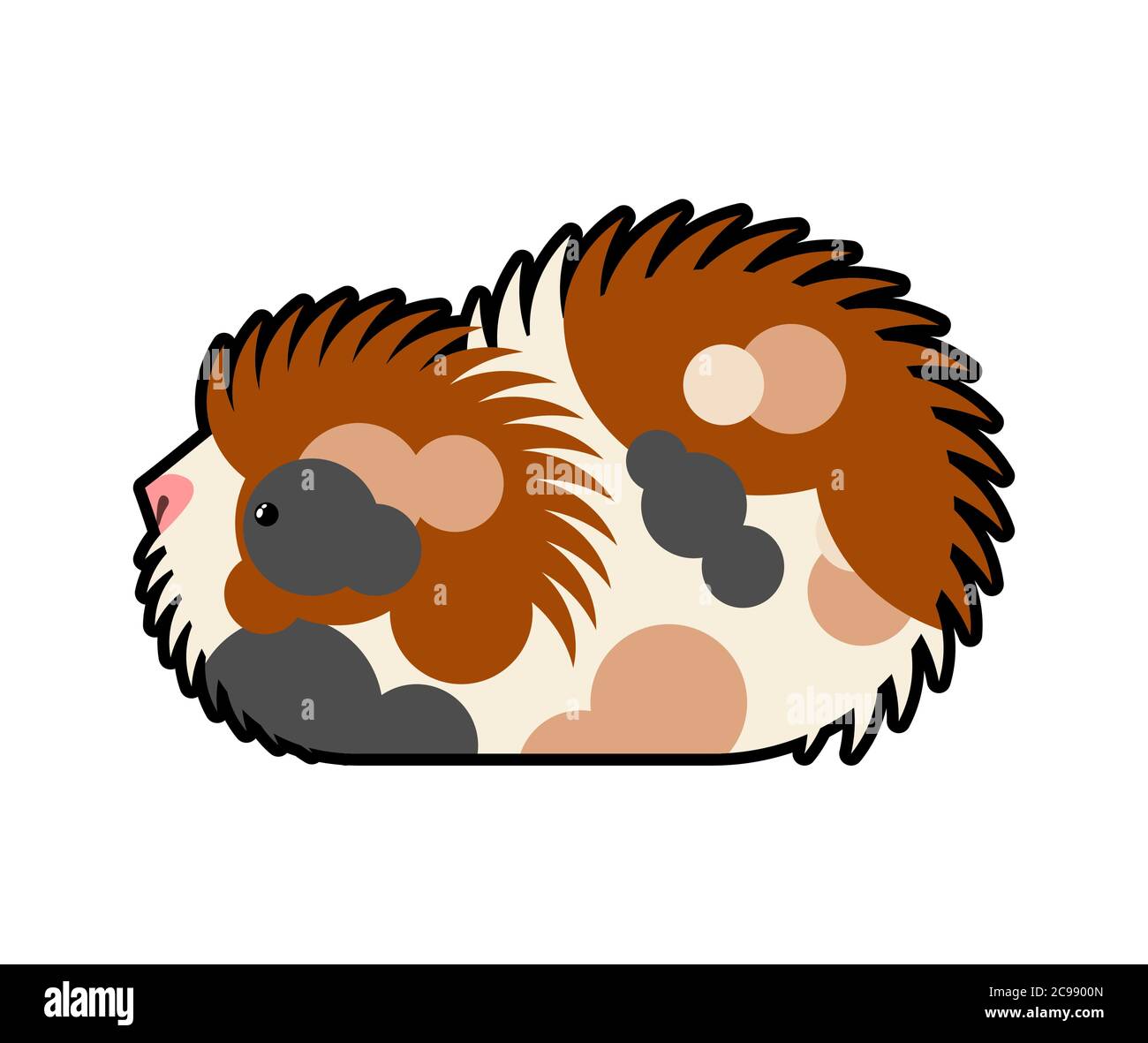 Cavy isoliert. guinea Schwein Cartoon. vektor-Illustration Stock Vektor