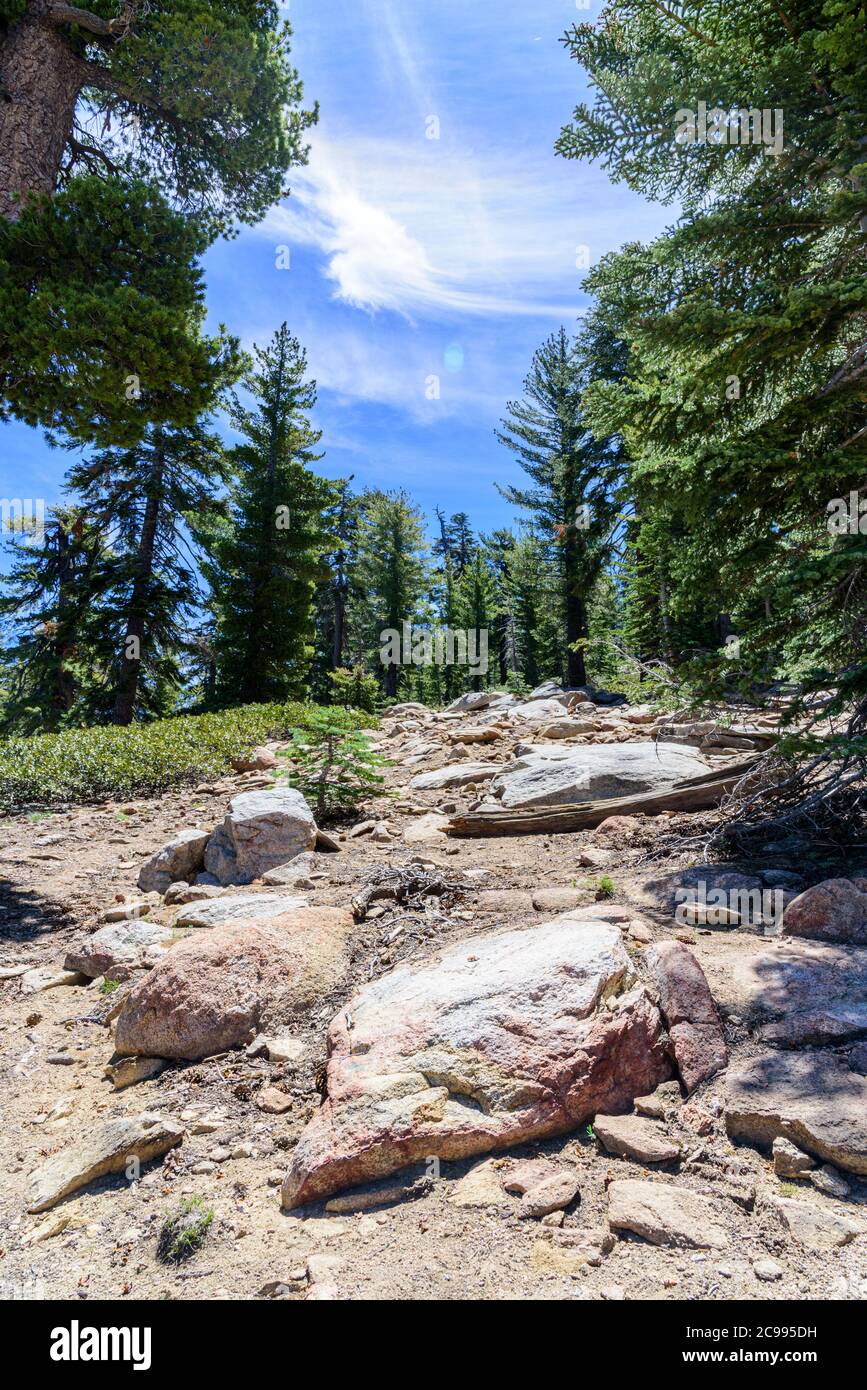 Riesige Felsen entlang felsigen Wanderweg in grünen Wald unter blauem Himmel mit weißen Wolken. Stockfoto