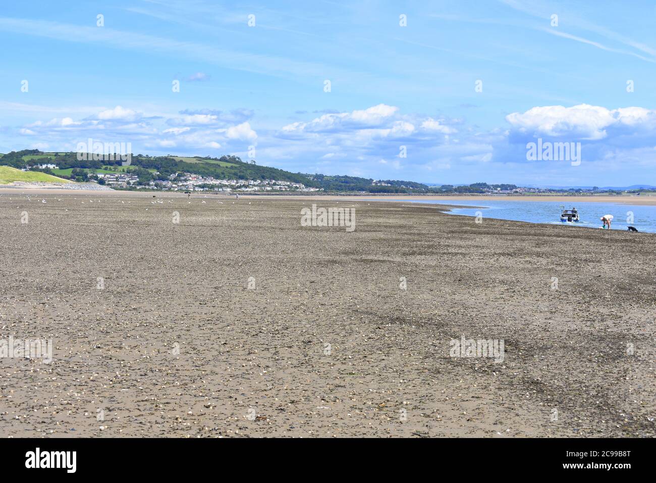 Blick über Burry Port East Beach bei Ebbe in Richtung Pwll, Burry Port, Carmarthenshire, Wales Stockfoto