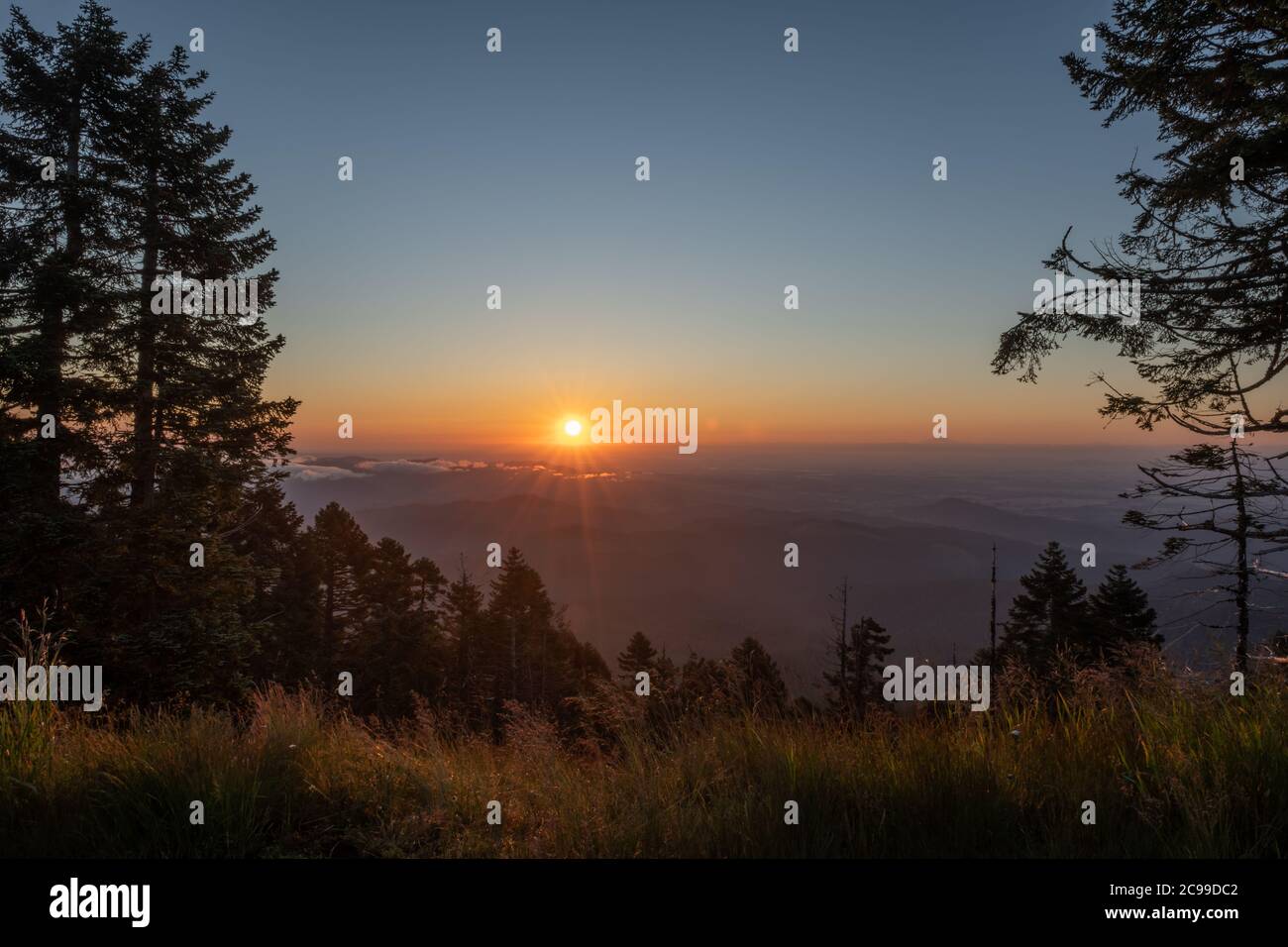 Sonnenaufgang über der Südflanke des Mount Hood, mit Wald und dem Willamette Valley im Vordergrund. Stockfoto