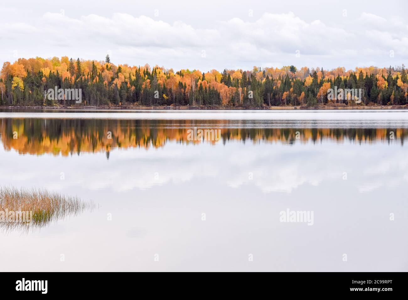Herbstfarben, Abitibi-Témiscamingue, Quebec, Kanada Stockfoto Herbstfarben, Abitibi-Témiscamingue, Quebec, Kanada Stockfoto