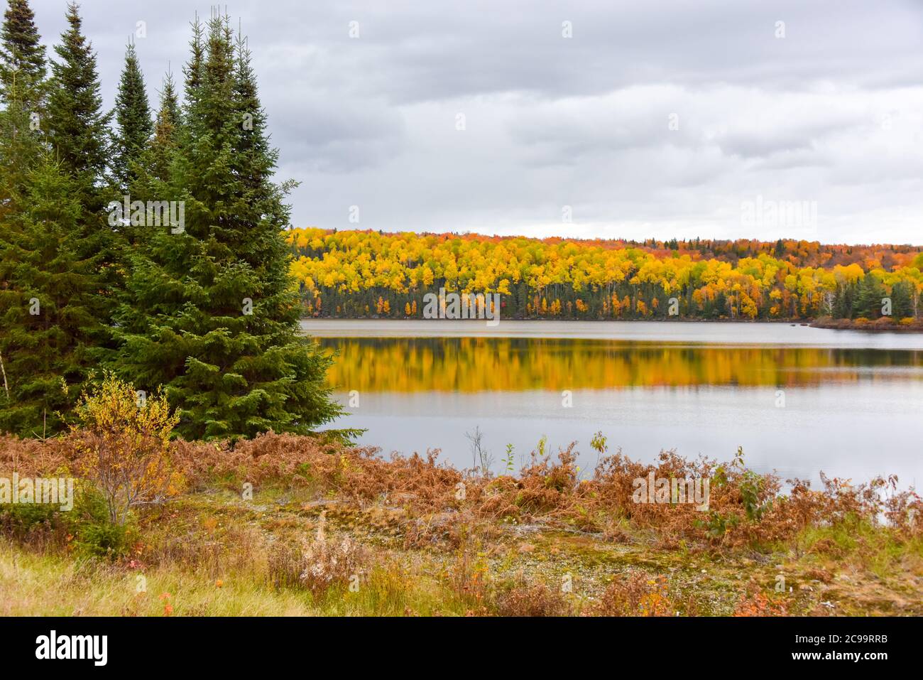Herbstfarben, Abitibi-Témiscamingue, Quebec, Kanada Stockfoto Herbstfarben, Abitibi-Témiscamingue, Quebec, Kanada Stockfoto