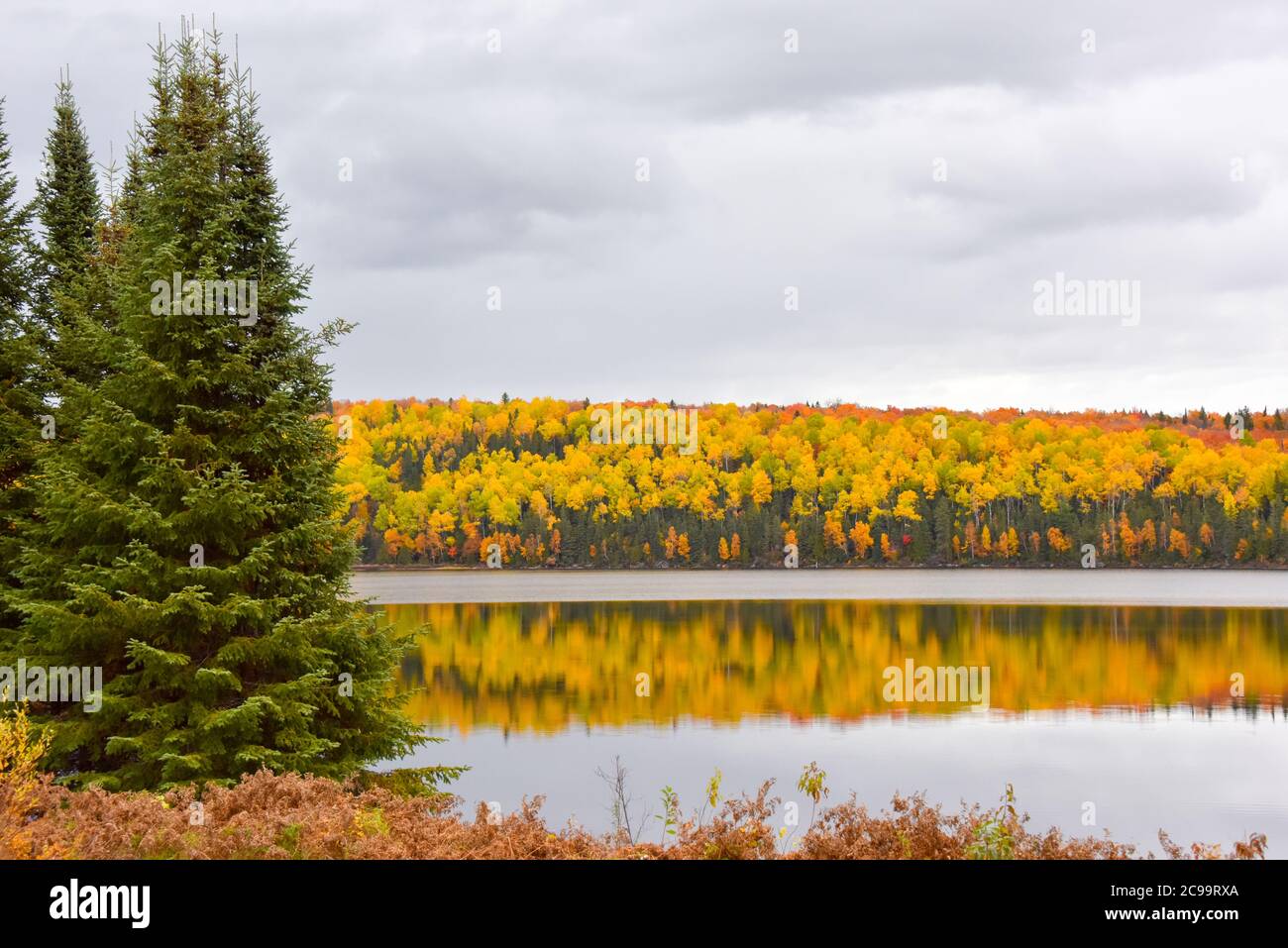 Herbstfarben, Abitibi-Témiscamingue, Quebec, Kanada Stockfoto Herbstfarben, Abitibi-Témiscamingue, Quebec, Kanada Stockfoto