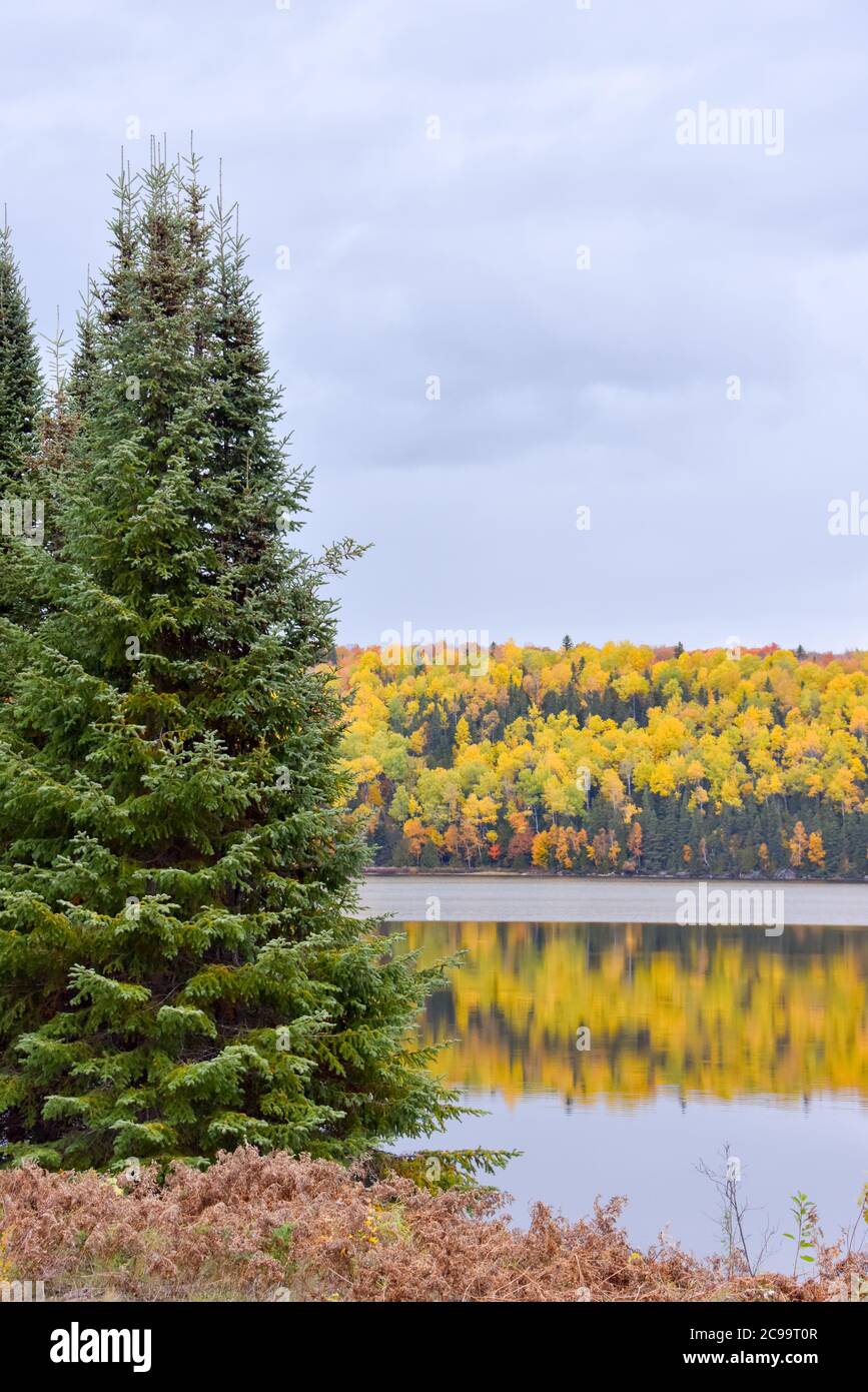 Herbstfarben, Abitibi-Témiscamingue, Quebec, Kanada Stockfoto Herbstfarben, Abitibi-Témiscamingue, Quebec, Kanada Stockfoto