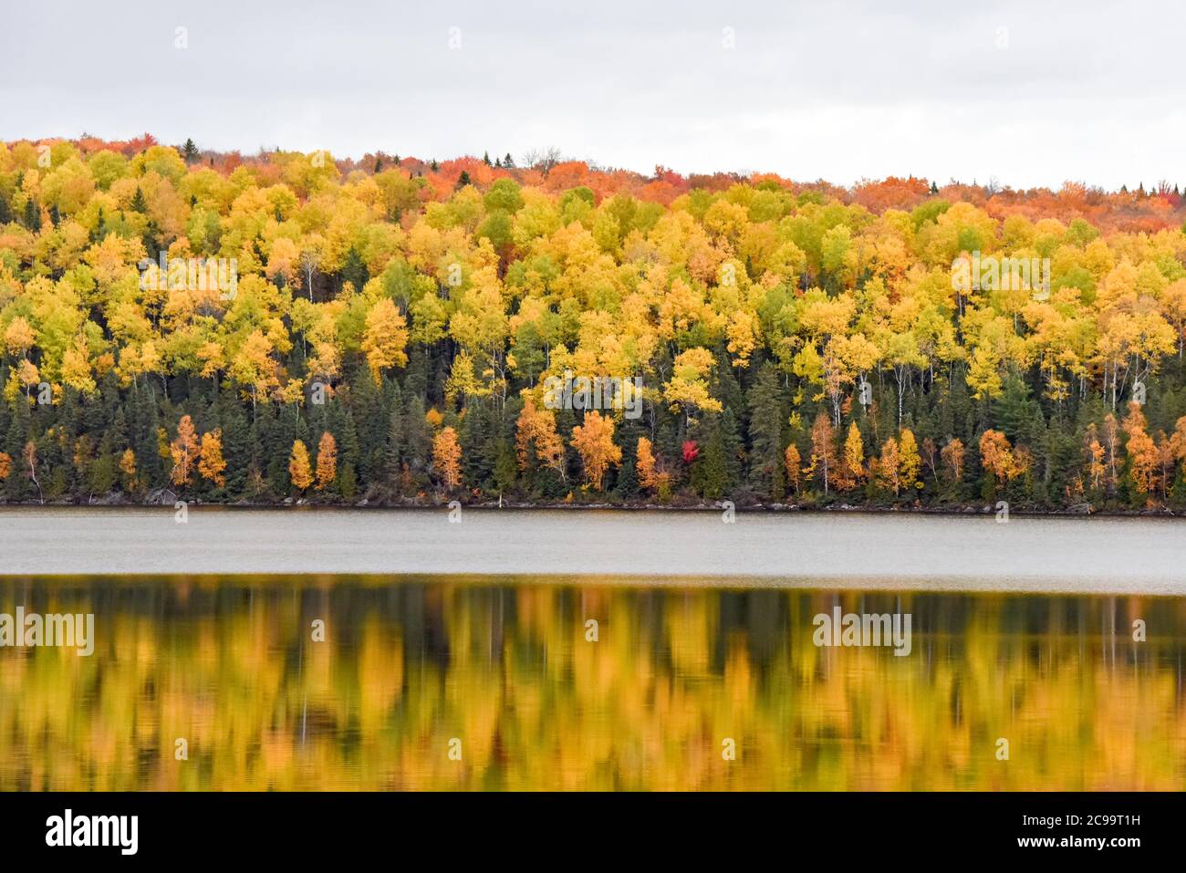Herbstfarben, Abitibi-Témiscamingue, Quebec, Kanada Stockfoto Herbstfarben, Abitibi-Témiscamingue, Quebec, Kanada Stockfoto