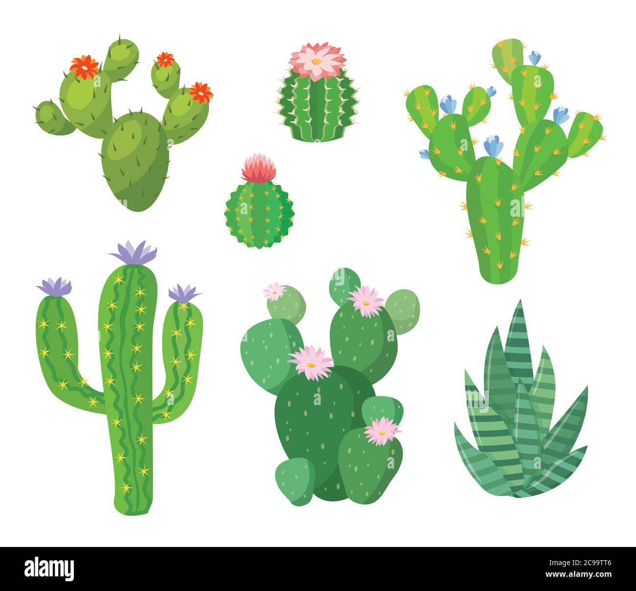 Cartoon Kaktus Set. Vektor-Set von hellen Kakteen und Aloe. Farbige, helle Kaktusblüten isoliert auf weißem Hintergrund. Stock Vektor