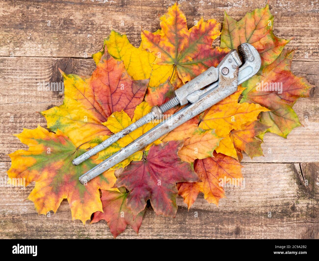 Alter verstellbarer Schraubenschlüssel auf Herbstblättern.Altes Werkzeug auf einem hölzernen Hintergrund. Stockfoto