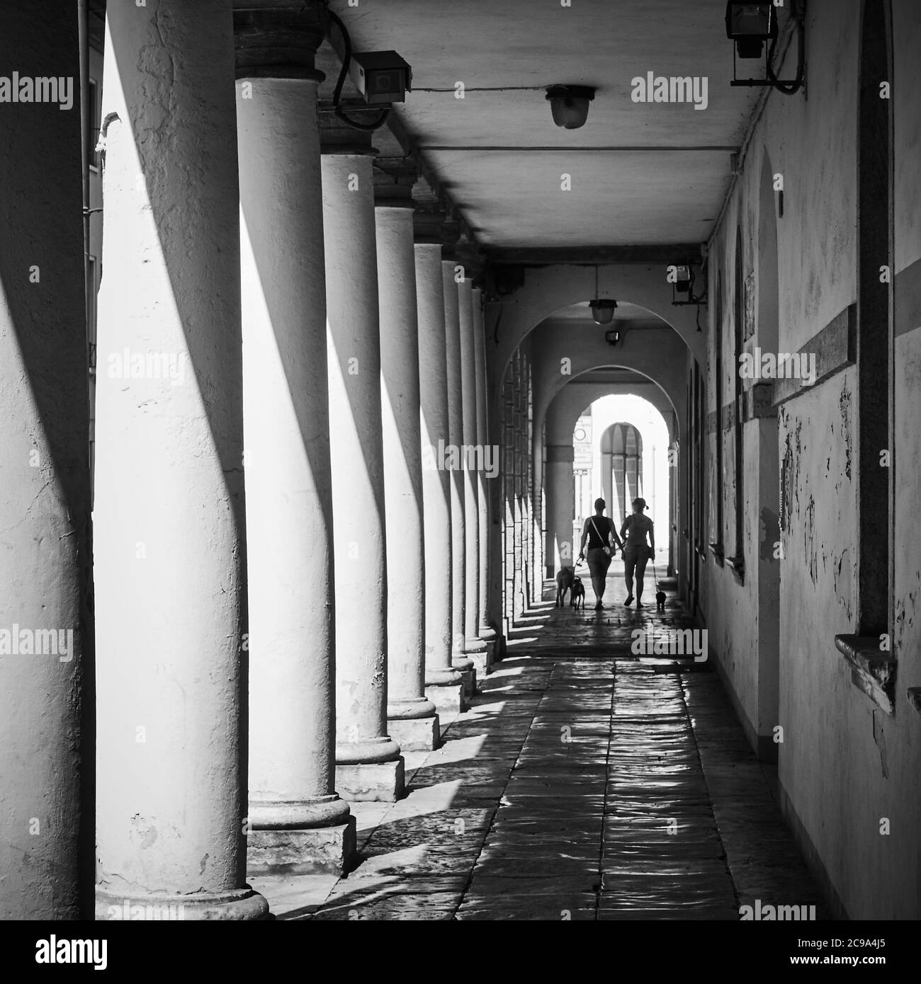 Blick auf die überdachte Galerie an einer Straße in Treviso, Italien. Schwarz-Weiß-Stadtfotografie. Flacher Freiheitsgrad! Stockfoto