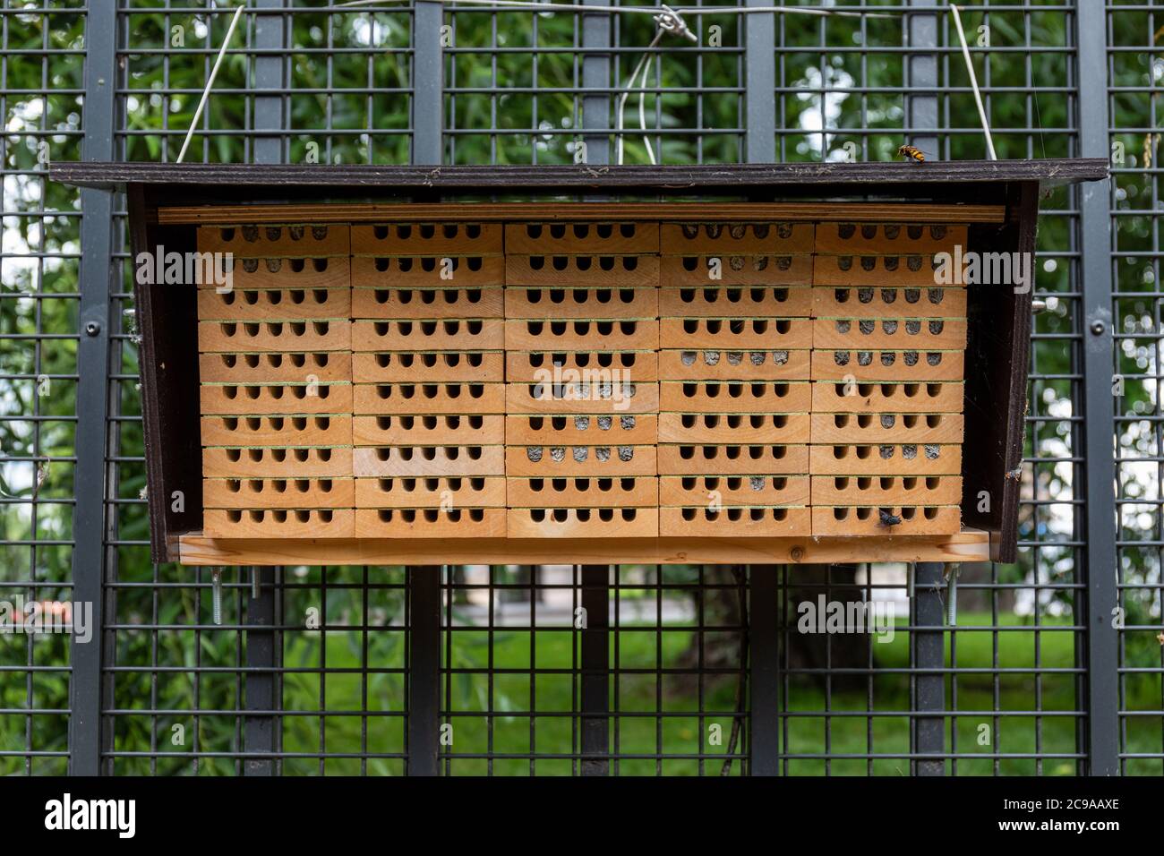 Bee Hotel an einem Zaun Stockfoto