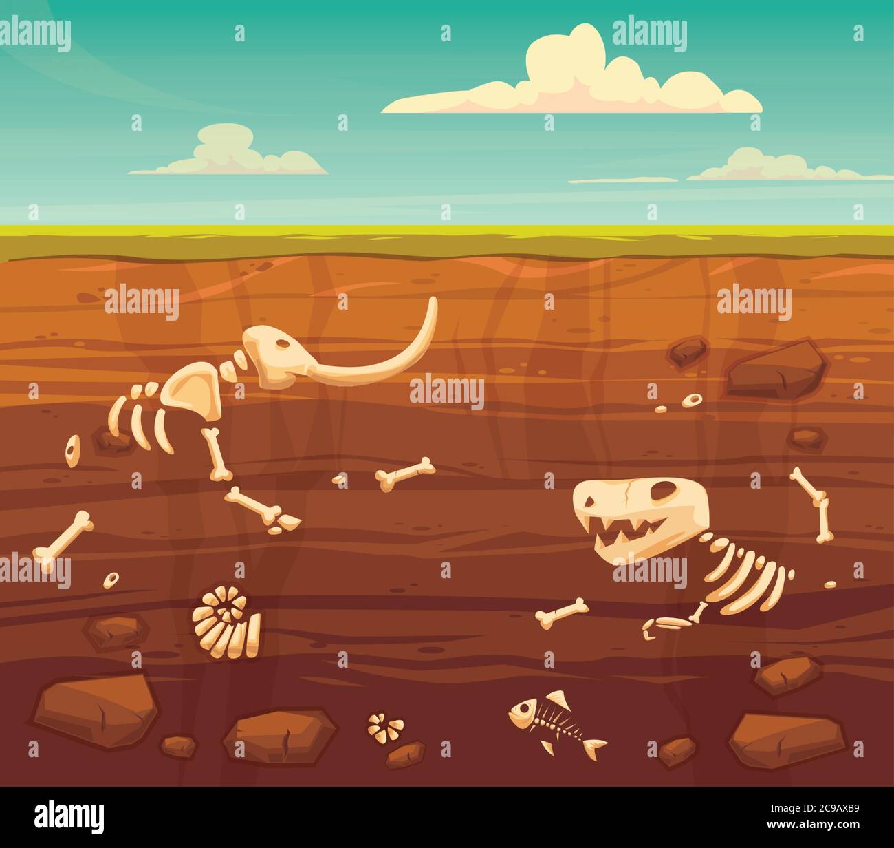 Geschliffene Schichten mit Knochen. Begraben fossile Tiere, Dinosaurier, Mammut, Fisch Skelett Knochen und Schalentiere.Vector flachen Stil Cartoon Illustration Stock Vektor