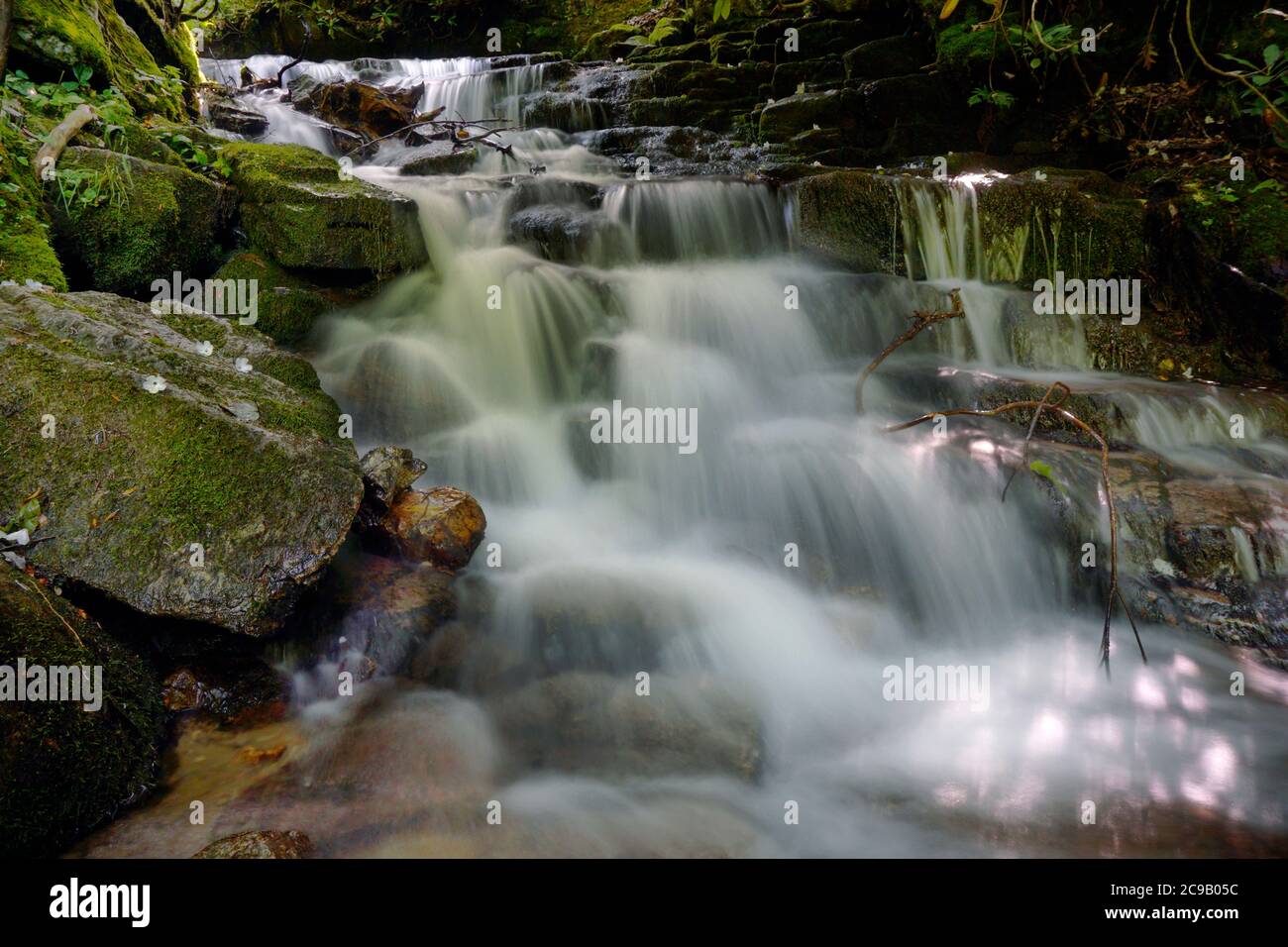 Bewegung verschwommenes Wasser fließt über die Felsen in einem Bach in North Carolina Stockfoto