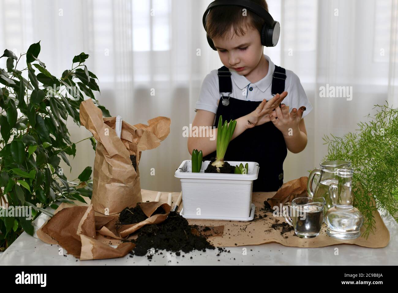 Der Junge schüttelt seine Handflächen vom Boden ab und schaut ernsthaft auf seine Arbeit, die gepflanzten Hyazinthen-Zwiebeln. Stockfoto