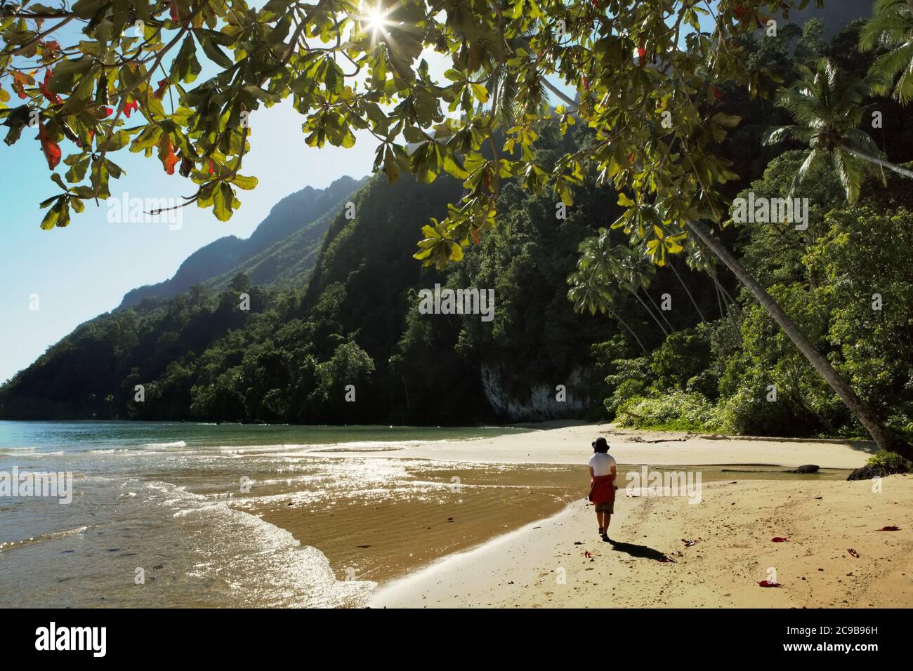 Ein Journalist steht am Sandstrand, wo sich die Flussmündung eines Bachs befindet, vor dem Hintergrund von Küstenhügeln im nördlichen Teil der Insel Seram; fotografiert in Saleman, North Seram, Central Maluku, Maluku, Indonesien. Stockfoto