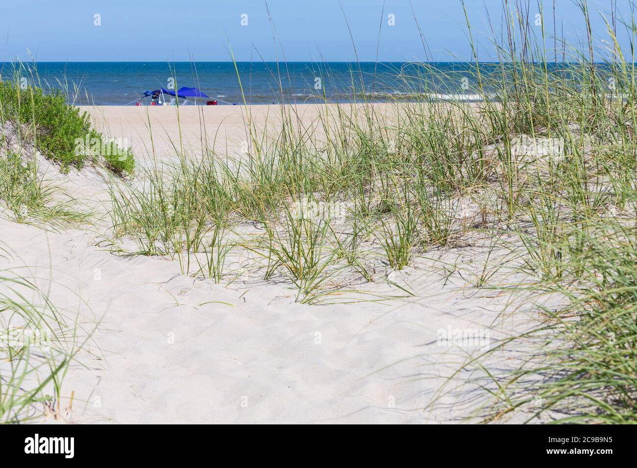 Avon, Outer Banks, North Carolina. Seeoats helfen, Dünen entlang des Strandes zu stabilisieren. Stockfoto