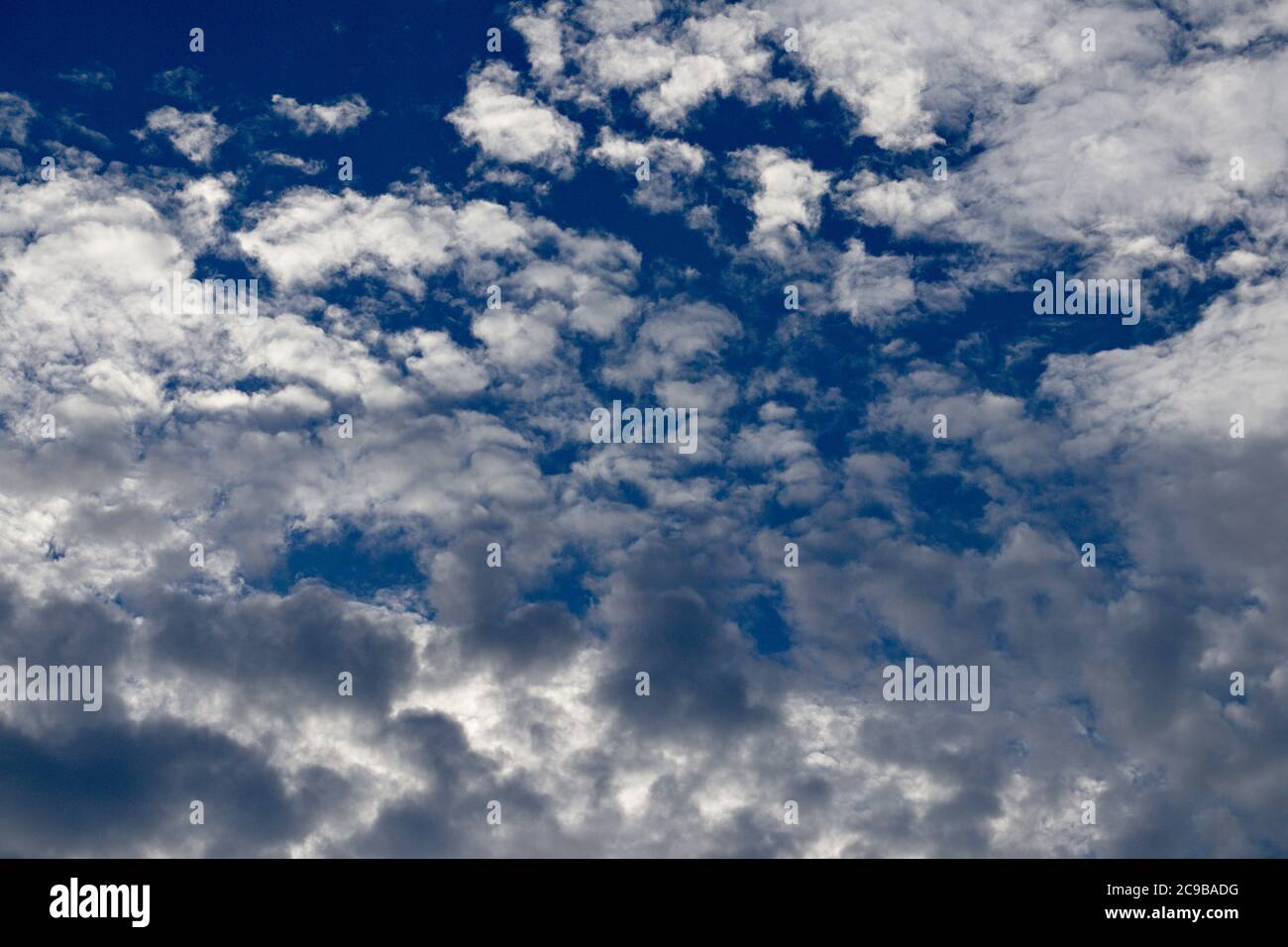 Tiefblauer Himmel mit Popcorn-Wolken Stockfoto