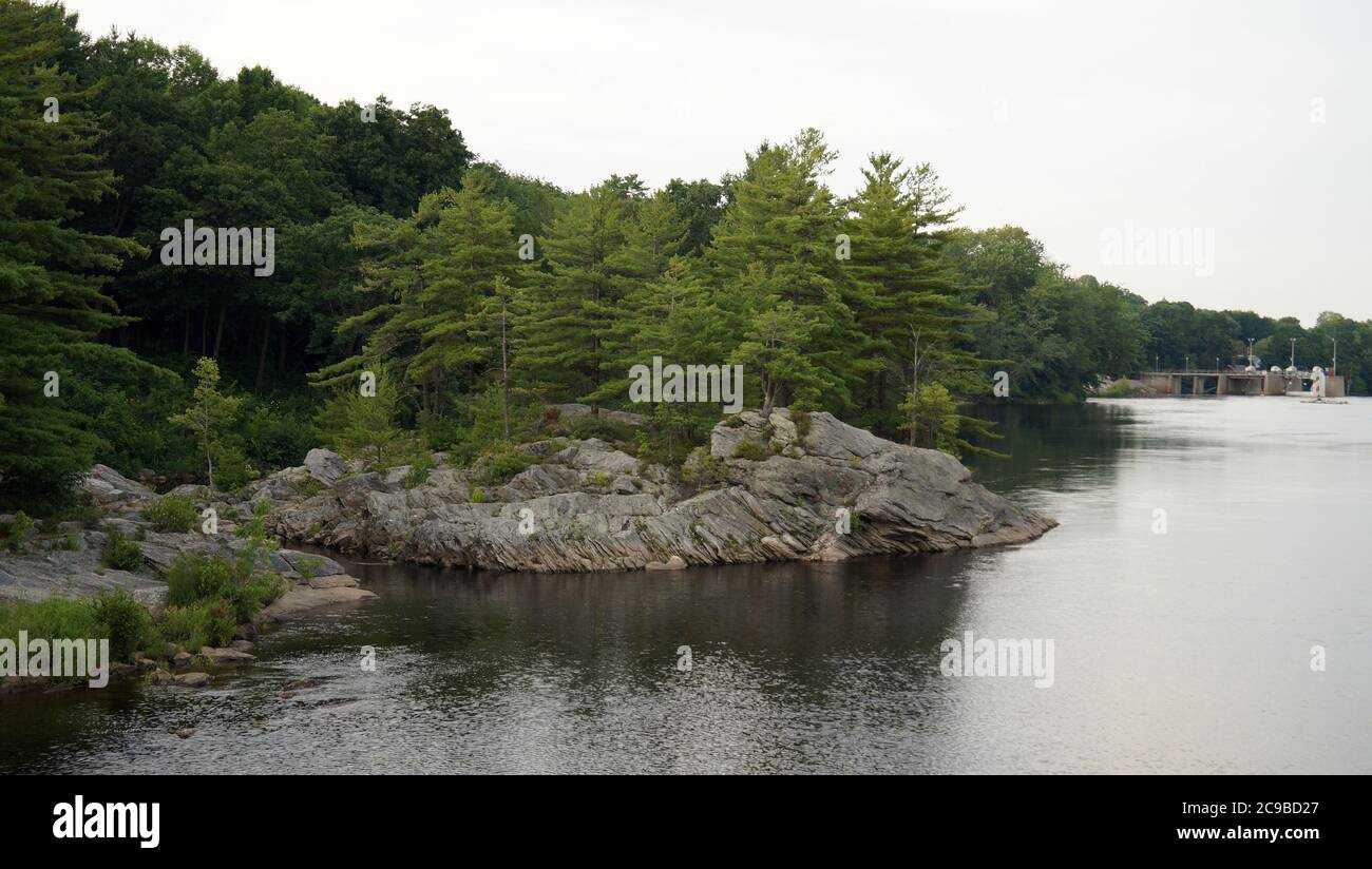 Felsiges Ufer des Androscoggin River bedeckt mit Kiefernwald, Brunswick, ME, USA Stockfoto
