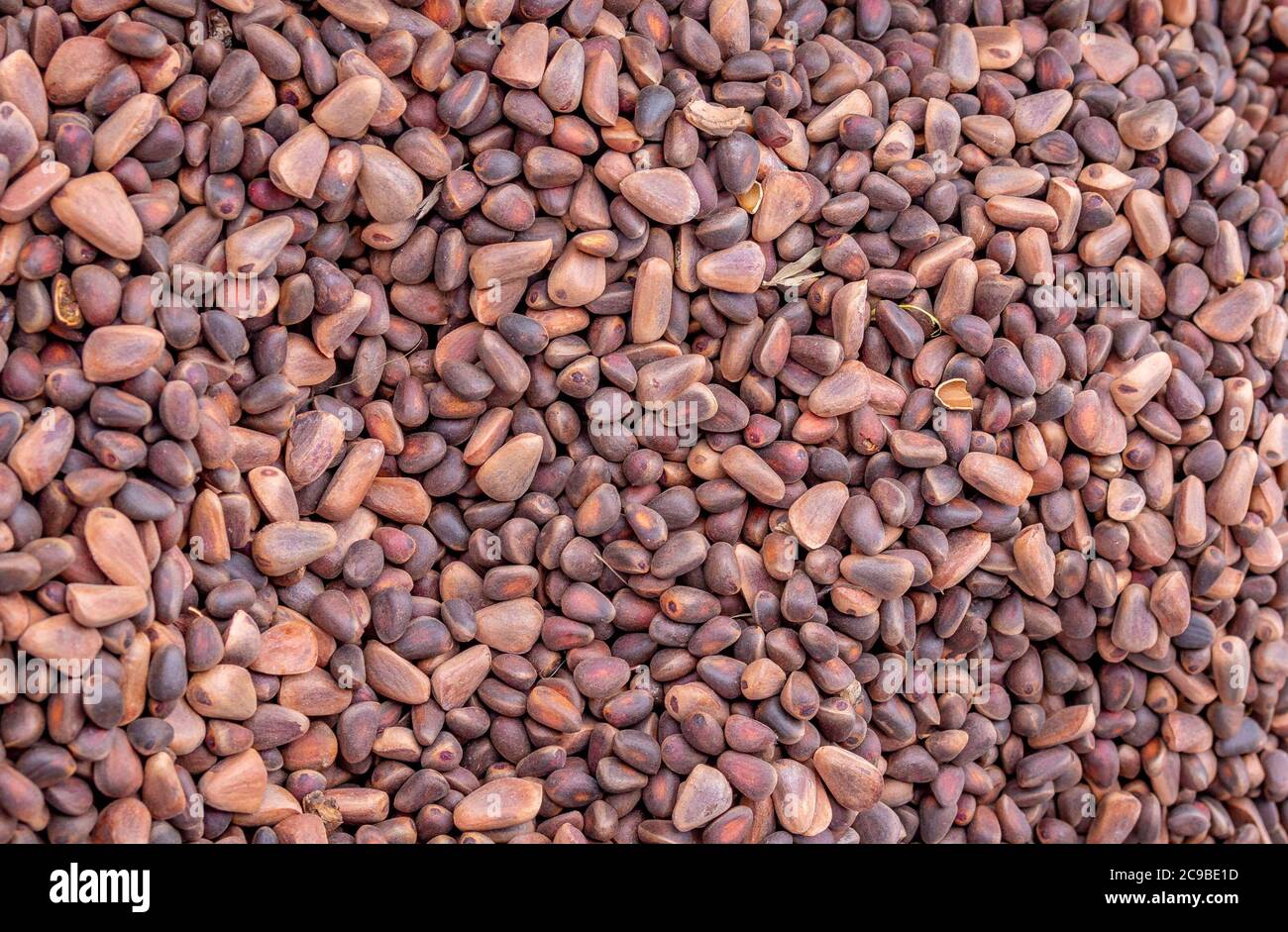 Solide Hintergrund von frischen reifen und natürlichen Zedernkernen Stockfoto