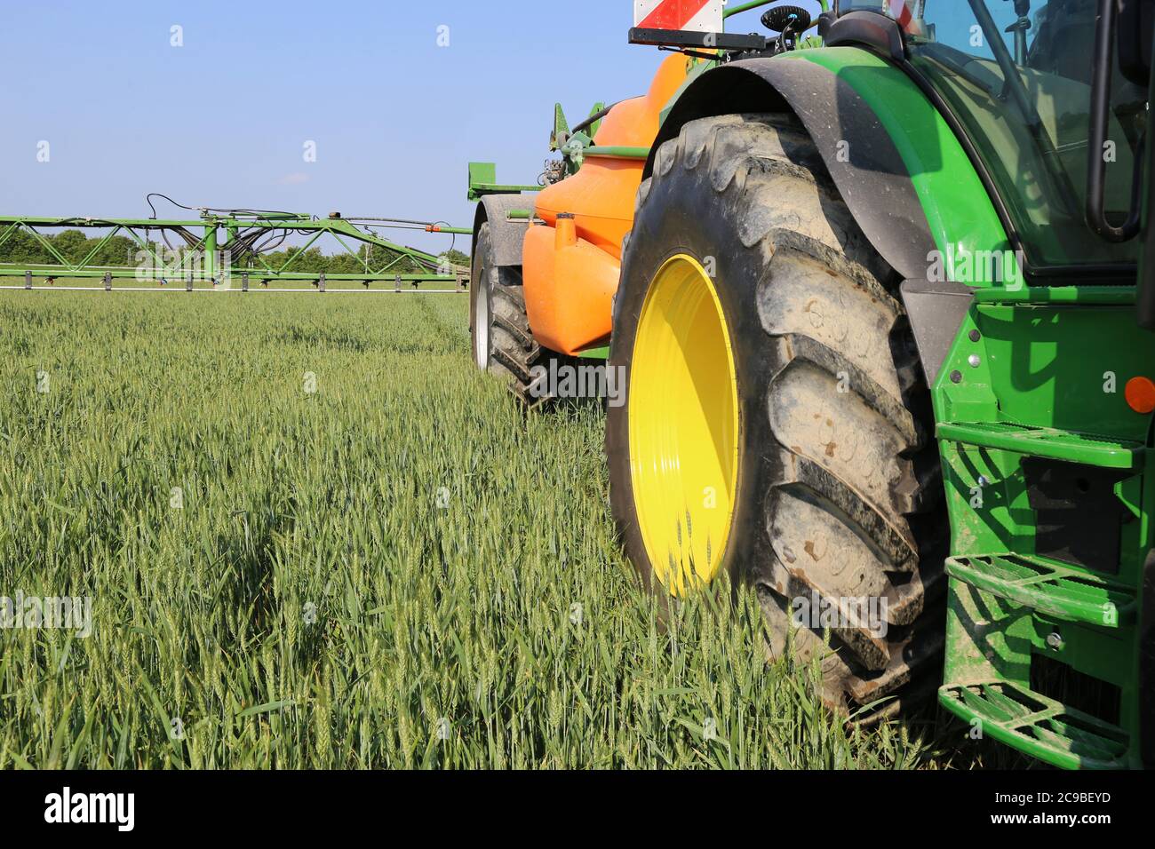 Landwirt fährt seinen Traktor mit Pflanzenschutzspritze über sein Weizenfeld, um braunen Rost und Schimmel zu bekämpfen Stockfoto