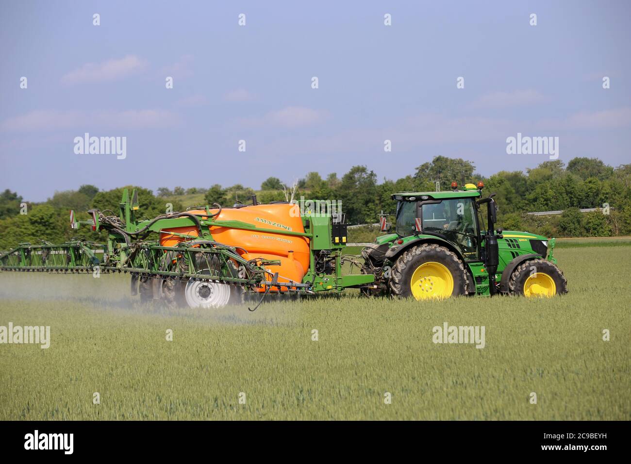 Landwirt fährt seinen Traktor mit Pflanzenschutzspritze über sein Weizenfeld, um braunen Rost und Schimmel zu bekämpfen Stockfoto