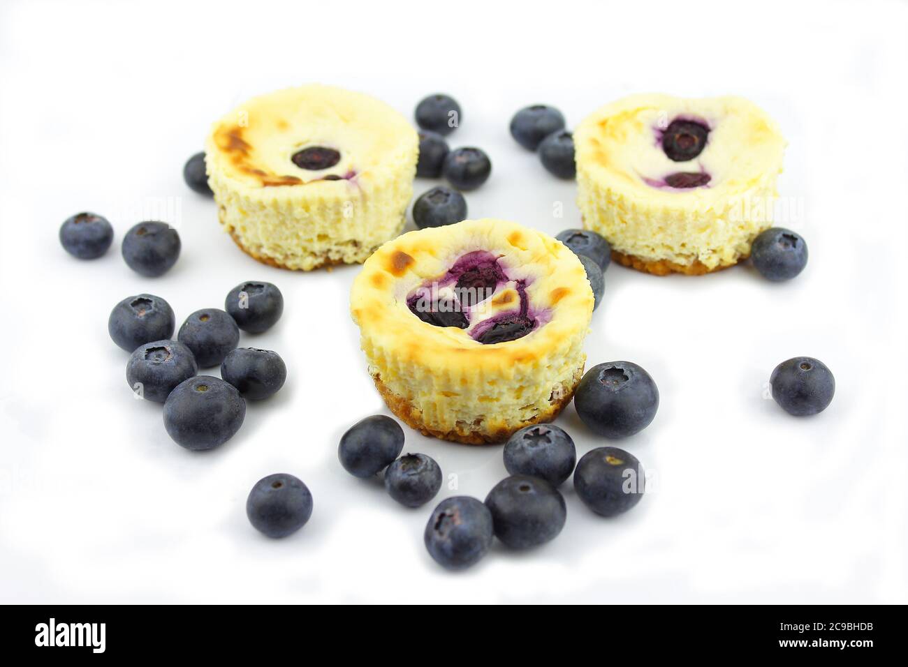 Mini Blaubeerkäse Kuchen Stockfoto