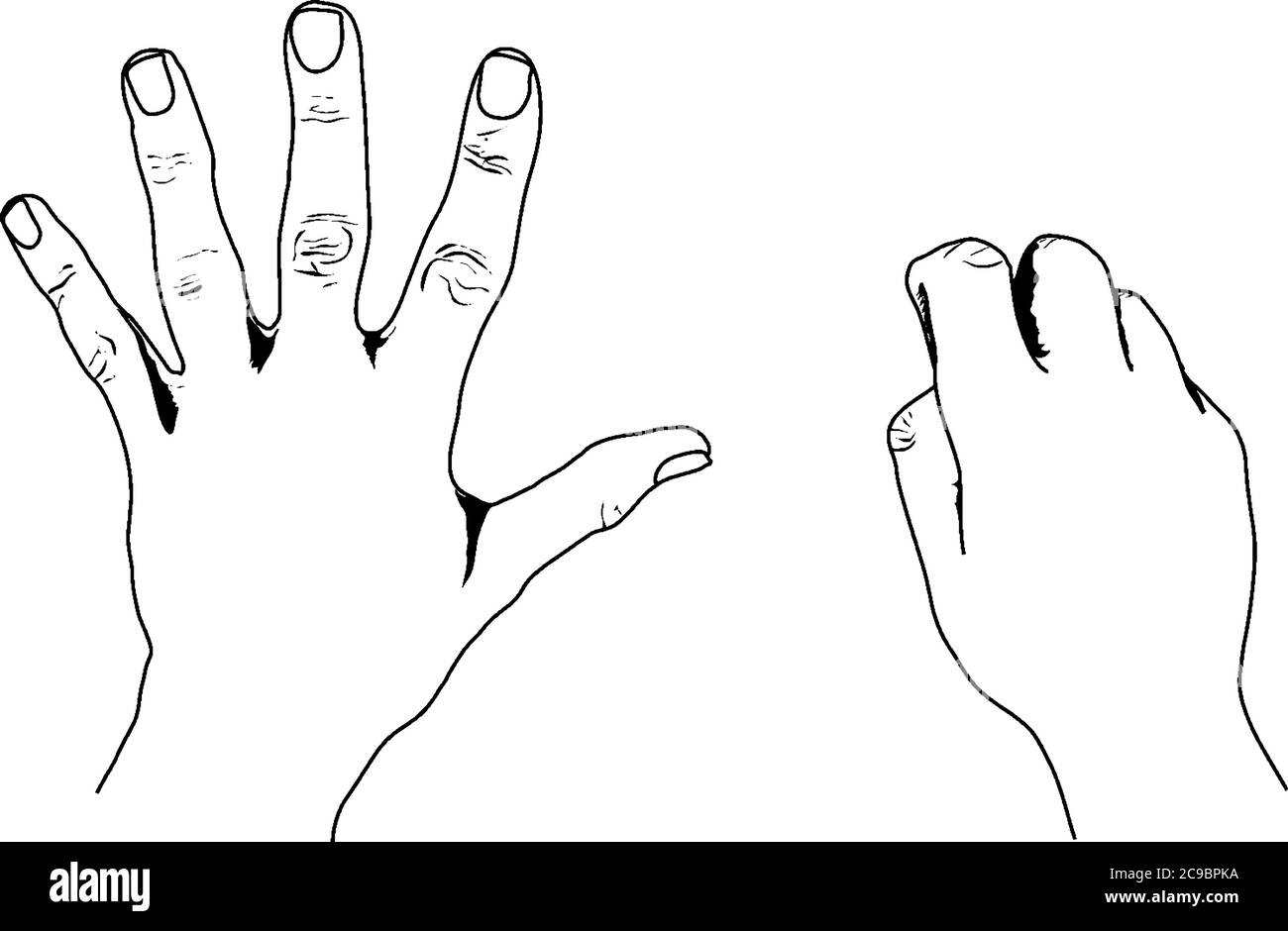 Nahaufnahme eines Hands, einer mit offener Handfläche und einer mit enger Handfläche, Vintage-Linienzeichnung oder Gravurillustration. Stock Vektor