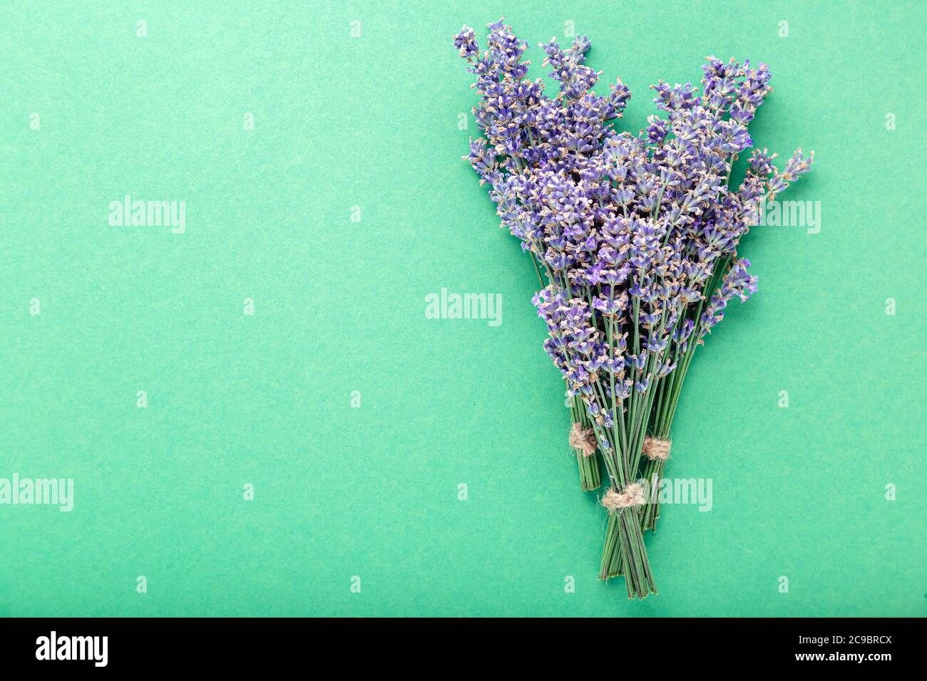 Frischer Lavendelblütenstrauß auf farbigem Hintergrund mit Kopierraum. Für Text platzieren. Flatlay lila Kräuterblüte. Lavendel Aromatherapie. Grün Stockfoto
