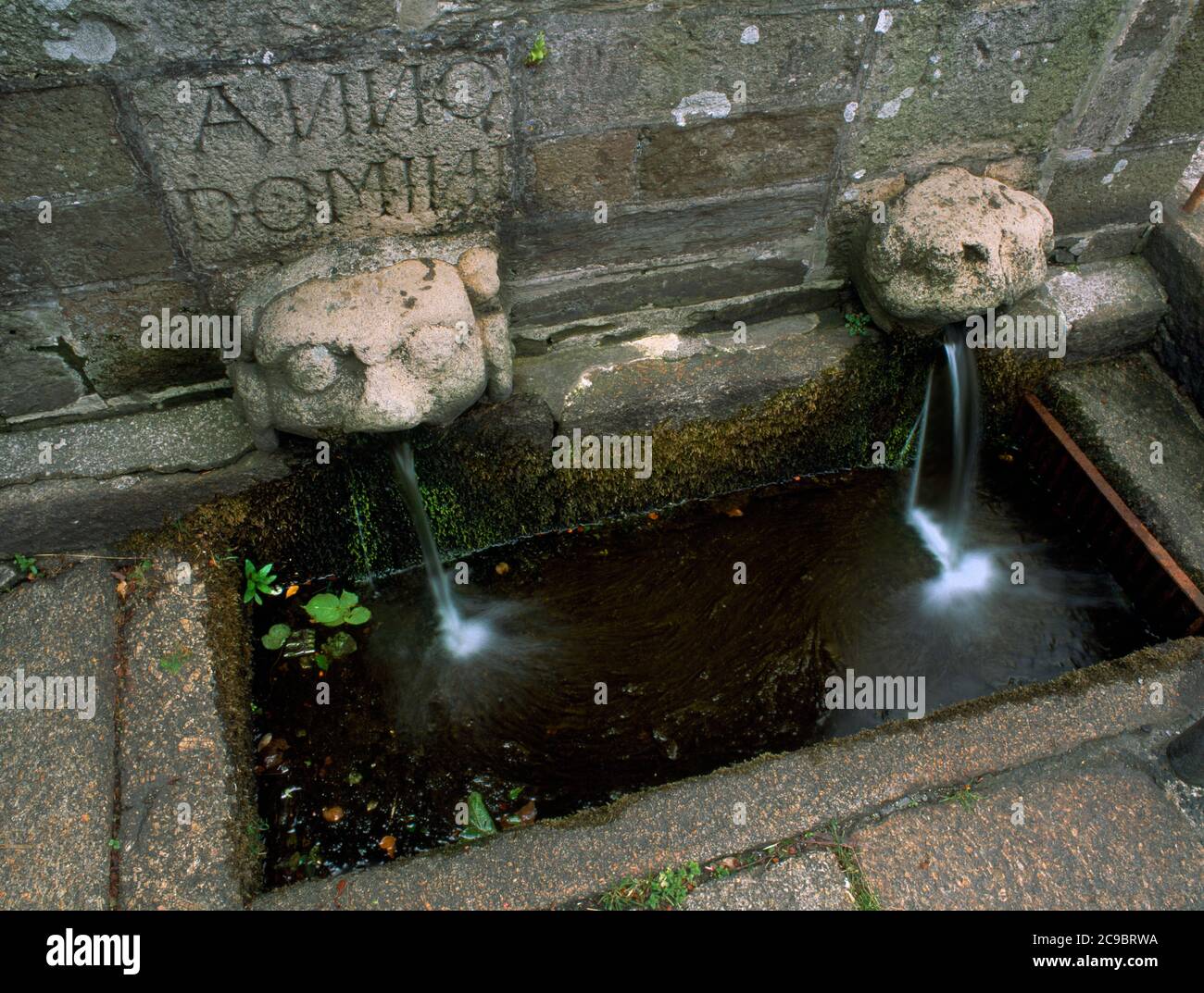 C16. Löwenkopf Wasserauslauf & Granit Wassertrog des Brunnens in Church Square nur W von St. Petroc's Church, Bodmin, Cornwall, England, UK. Stockfoto