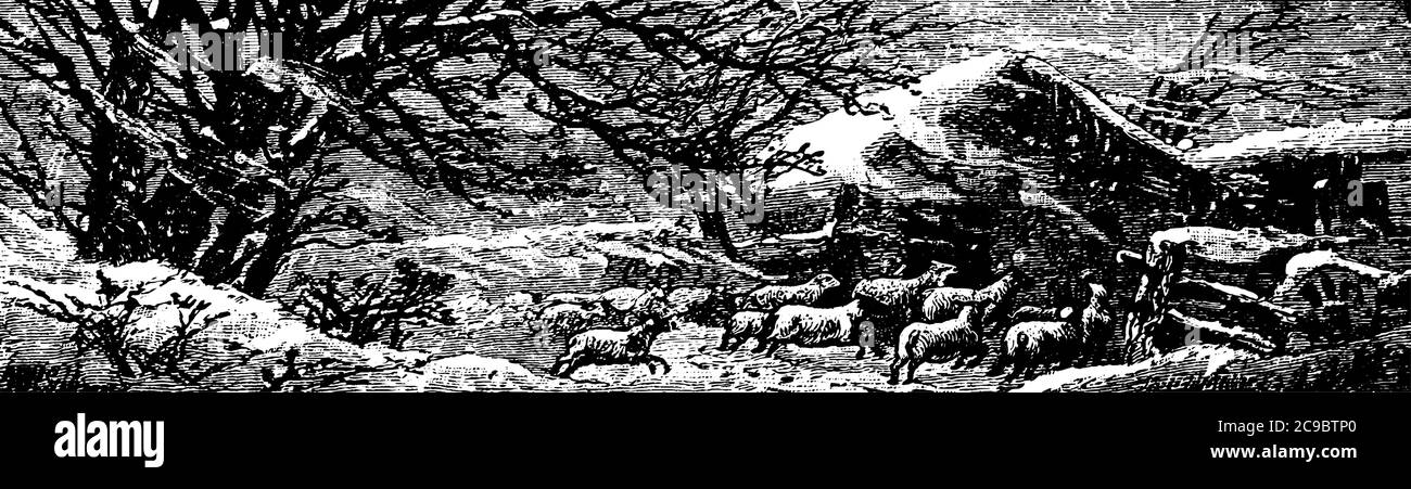 Eine Szene, die die Wintersaison mit Schafen läuft und grast auf dem Land, vintage Linie Zeichnung oder Gravur Illustration. Stock Vektor