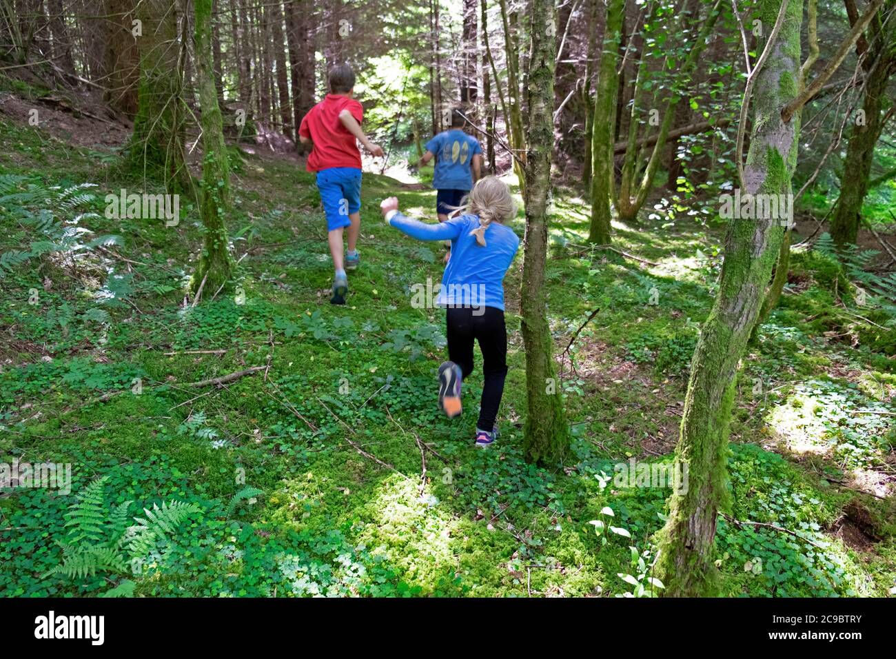 Kinder Kinder Freunde spielen draußen im Sommer laufen im Wald Auf dem Land nach Covid Coronavirus Lockdown wird Wales erleichtert UK KATHY DEWITT Stockfoto