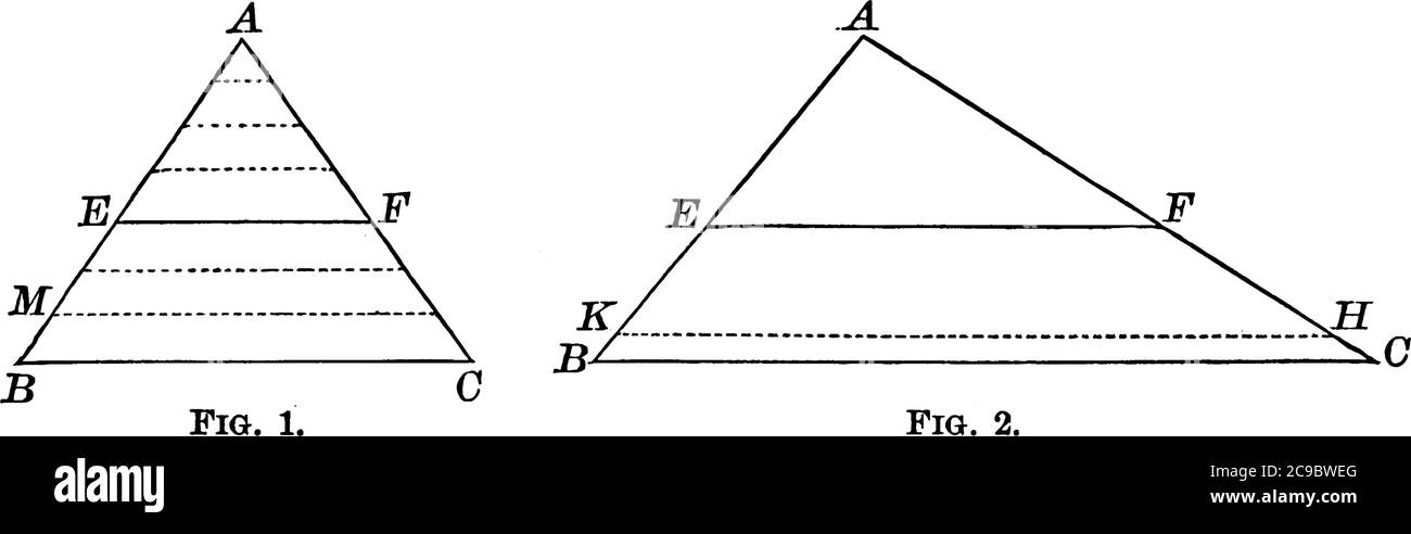 Zwei verschiedene Dreieck und eine Linie parallel zur Basis des Dreiecks verbinden zwei Punkte auf dem Dreieck, vintage Linie Zeichnung oder Gravur illustrat Stock Vektor