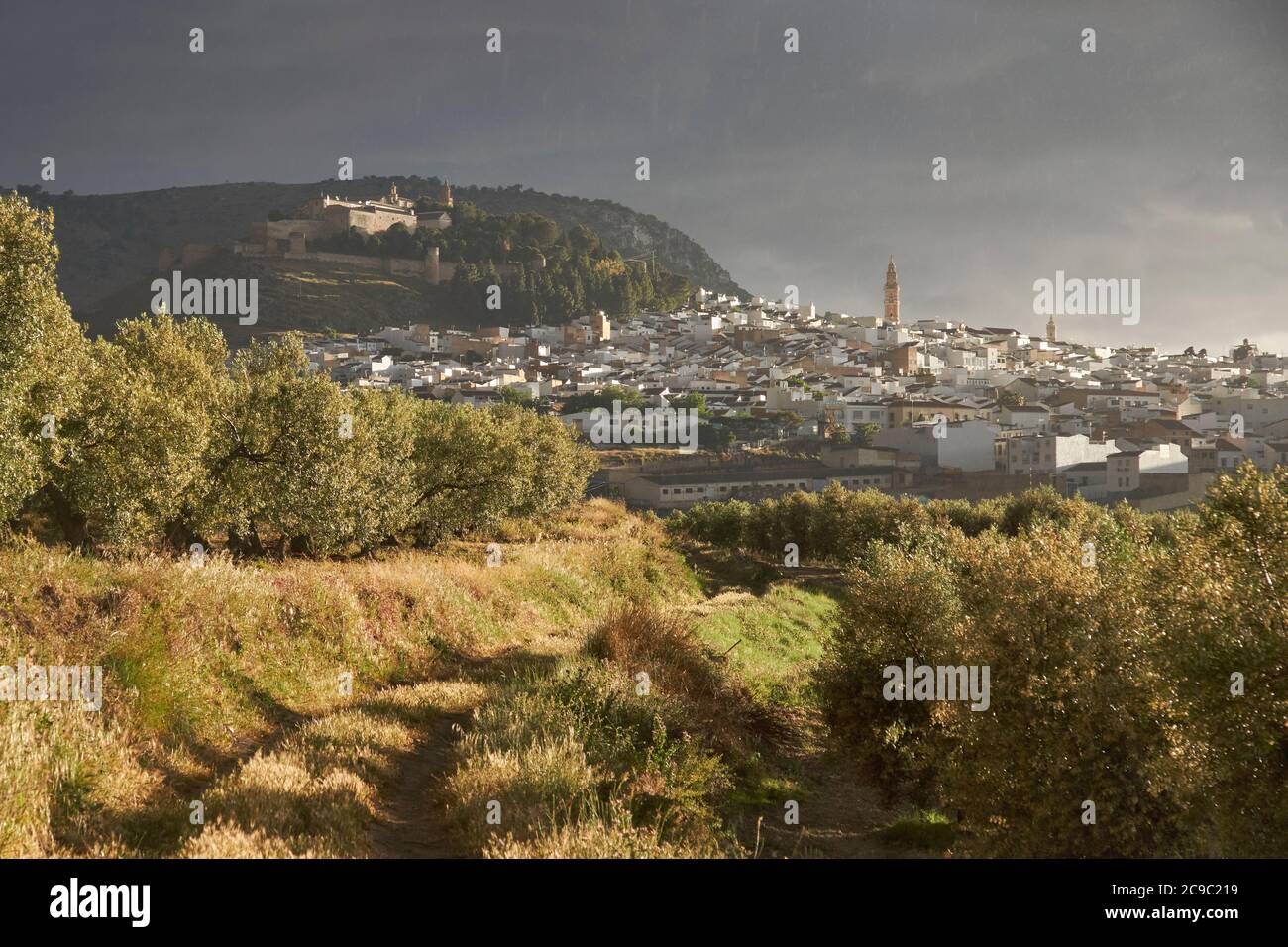 Blick von einem Olivenhain auf die Stadt Estepa. Andalusien, Spanien Stockfoto