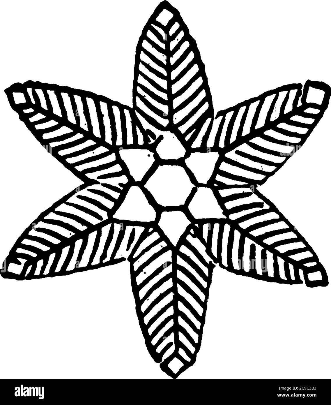 Eine typische Darstellung eines federleichten Eiskristalles, der Schneeflocke, zeigt eine zarte sechsfache Symmetrie, Vintage-Linienzeichnung oder Gravur illustraa Stock Vektor