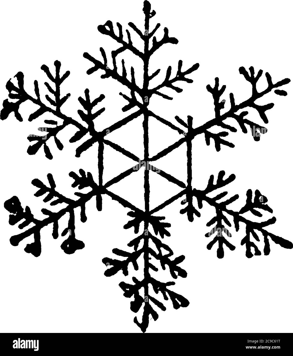 Schnee ist Wasser, das in Sternkristallen verfestigt, modifiziert und in der Atmosphäre schwimmt. Diese Kristalle entstehen aus der Stauung der Vesikel whi Stock Vektor