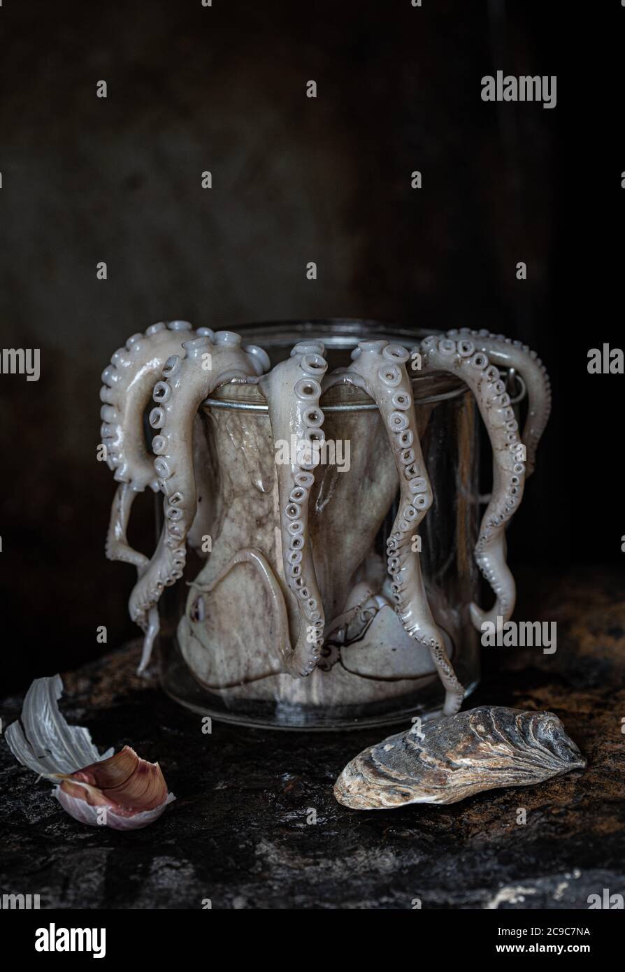 Frischer Oktopus im Glasgefäß Stockfoto