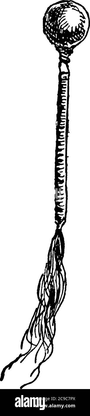 Eine typische Darstellung des Werkzeugs, war-Club, das von den Apache-Indianern erstellt wurde, Vintage-Linienzeichnung oder Gravur Illustration. Stock Vektor