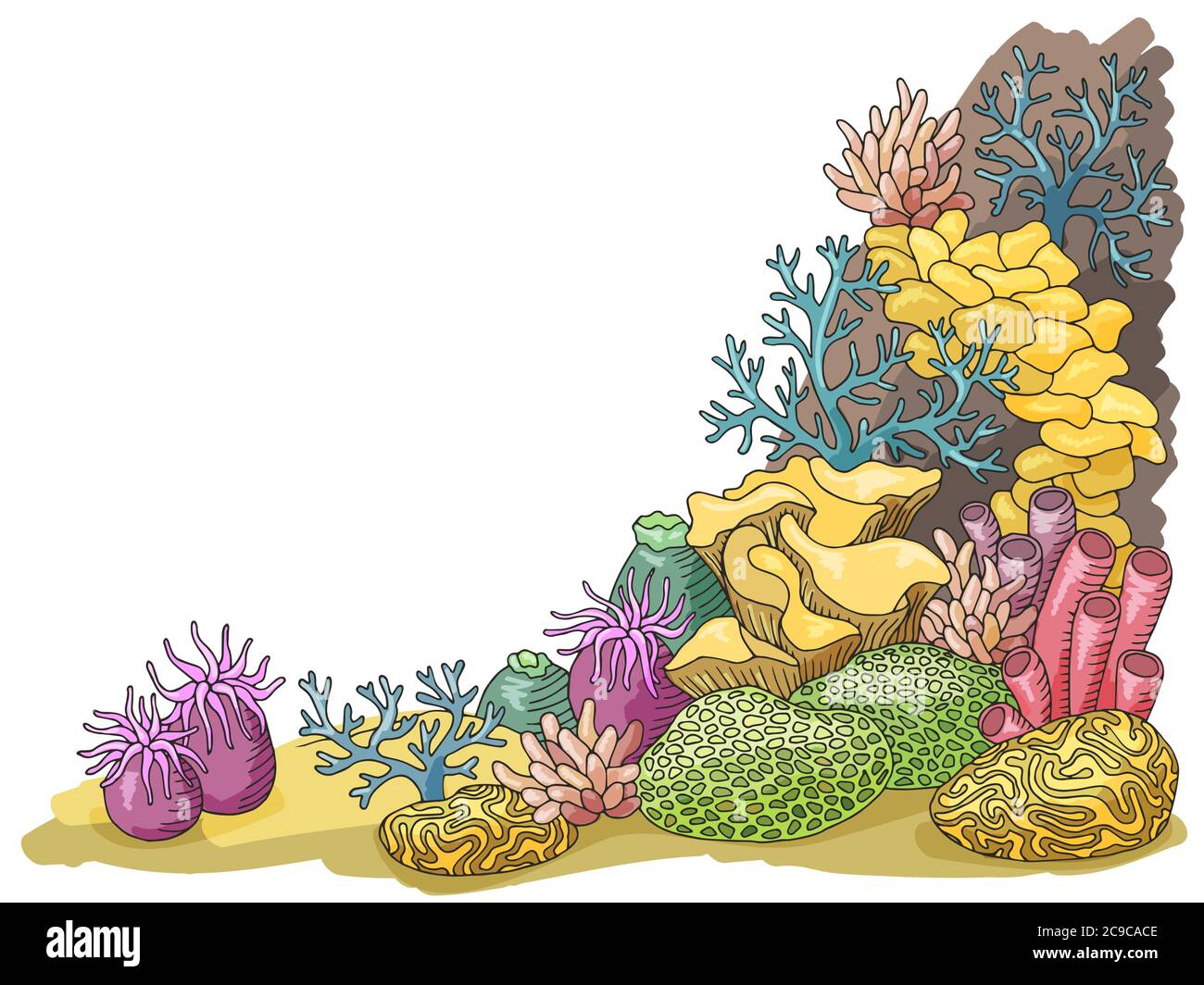 Coral Meer Grafik Farbe Unterwasser Landschaft Illustration Vektor Stock Vektor