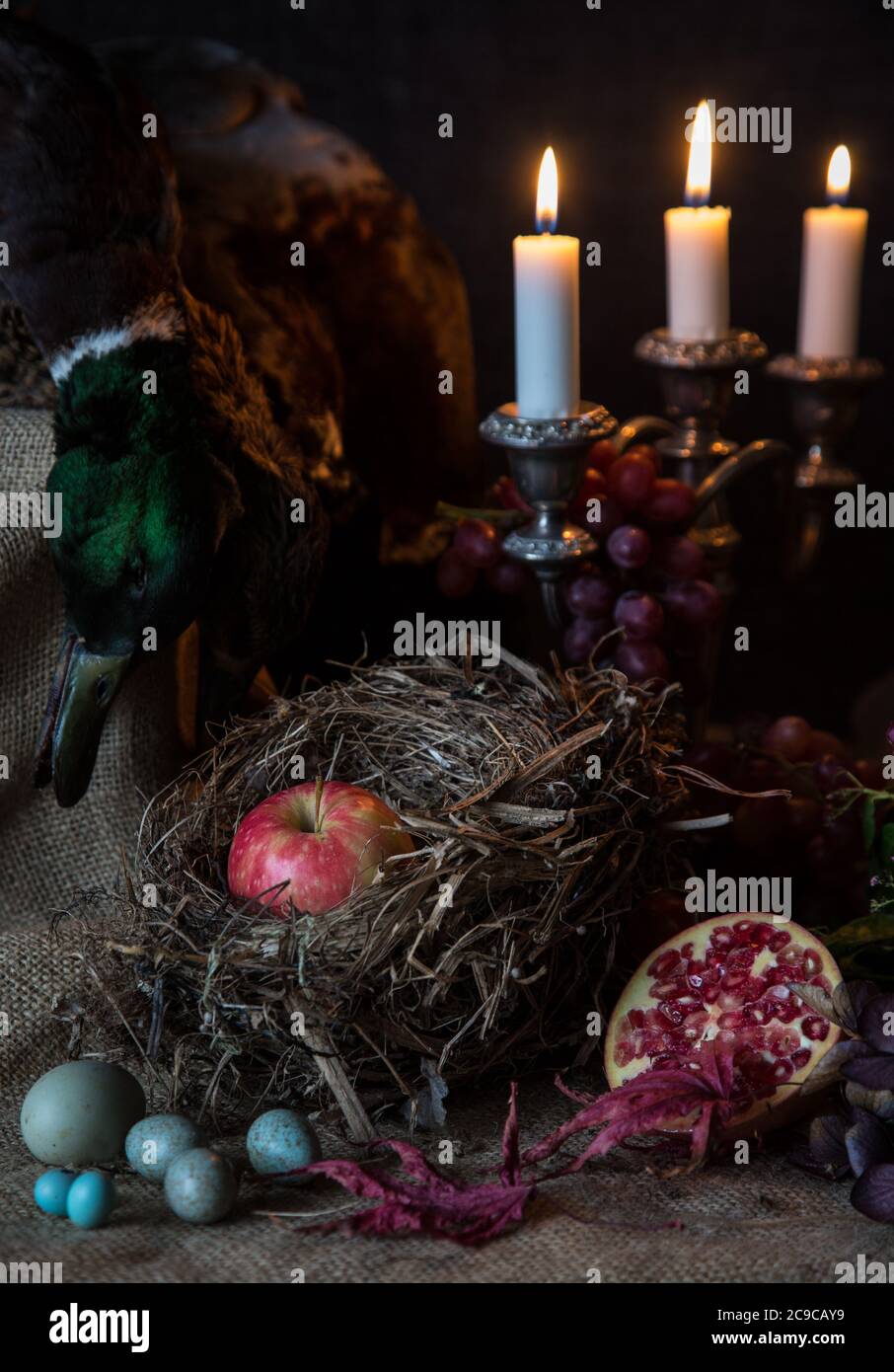 Apfel im Nest mit Kerzen und Vogeleiern, Stillleben Stockfoto