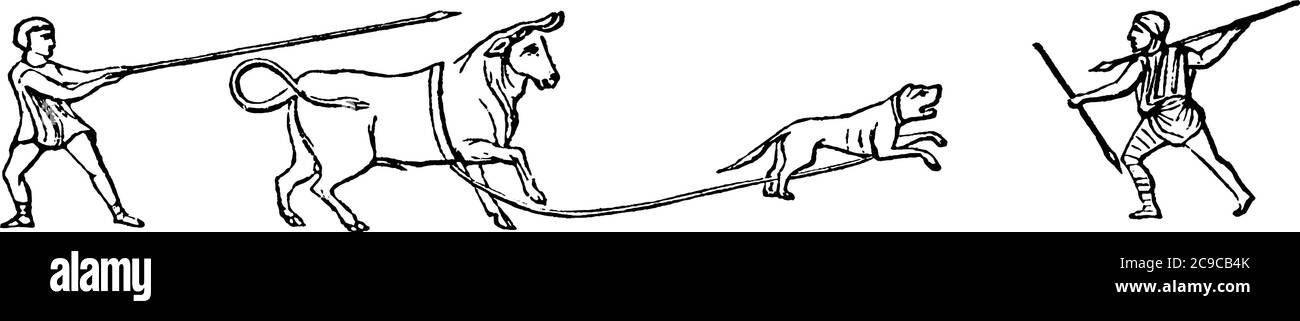 Venatio, Jagd war der Name unter den Römern zu einer Ausstellung von wilden Tieren, die miteinander und mit Menschen gekämpft. Diese Ausstellungen oder Stock Vektor