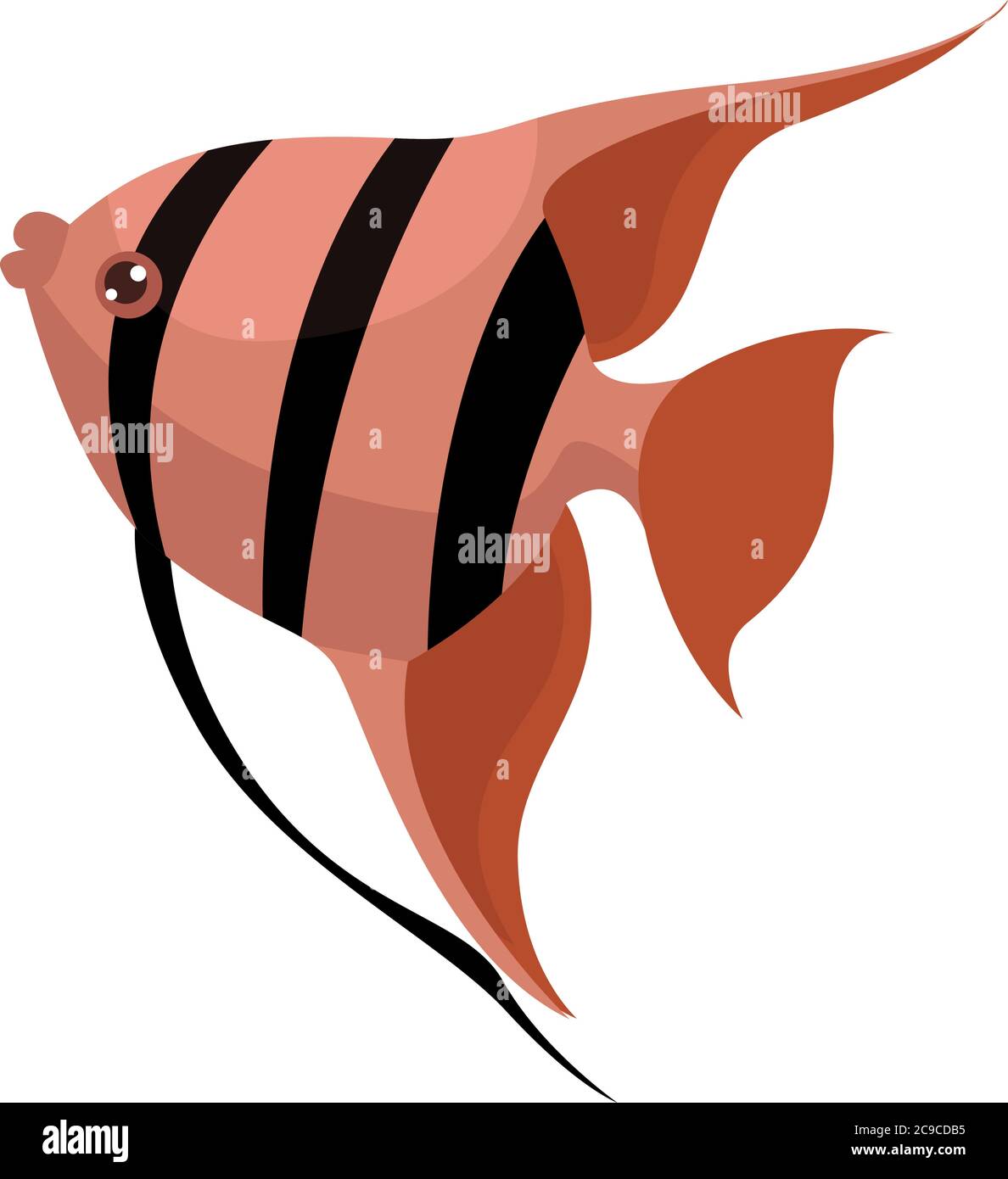 Angelfisch, Illustration, Vektor auf weißem Hintergrund Stock Vektor