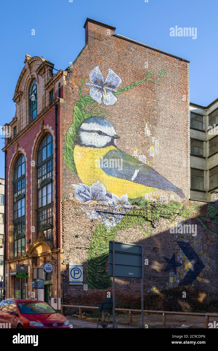 Bunte Street Art auf der Seite des Hatters Hostel, Northern Quarter, Manchester, Großbritannien. Früher eine Bowlinghut Fabrik. Stockfoto