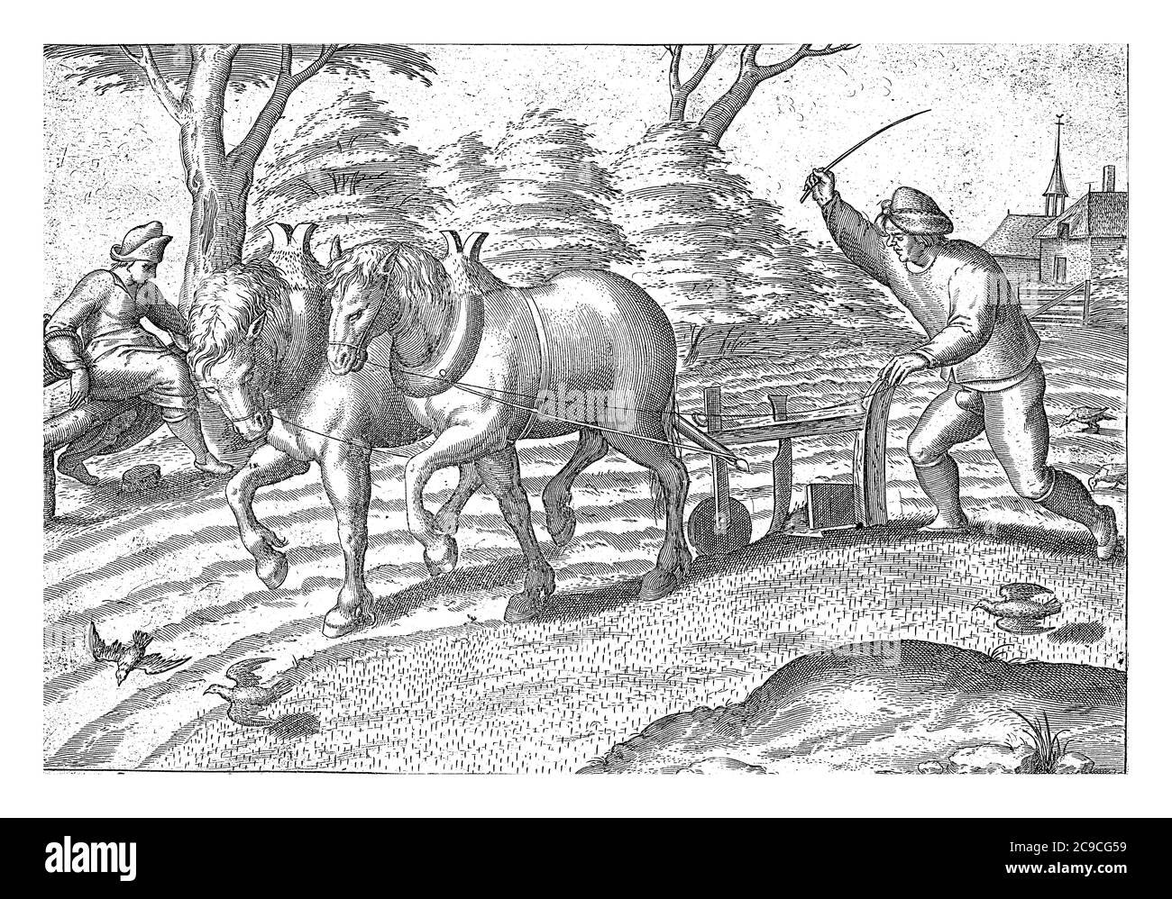 Ein Bauer pflügt das Land und pflügt sein Feld. Mit einer Peitsche treibt er seine Pferde angespannt für die Radcrew an. Vögel picken Körner aus dem gepflügten Land, Jahrgang Stockfoto