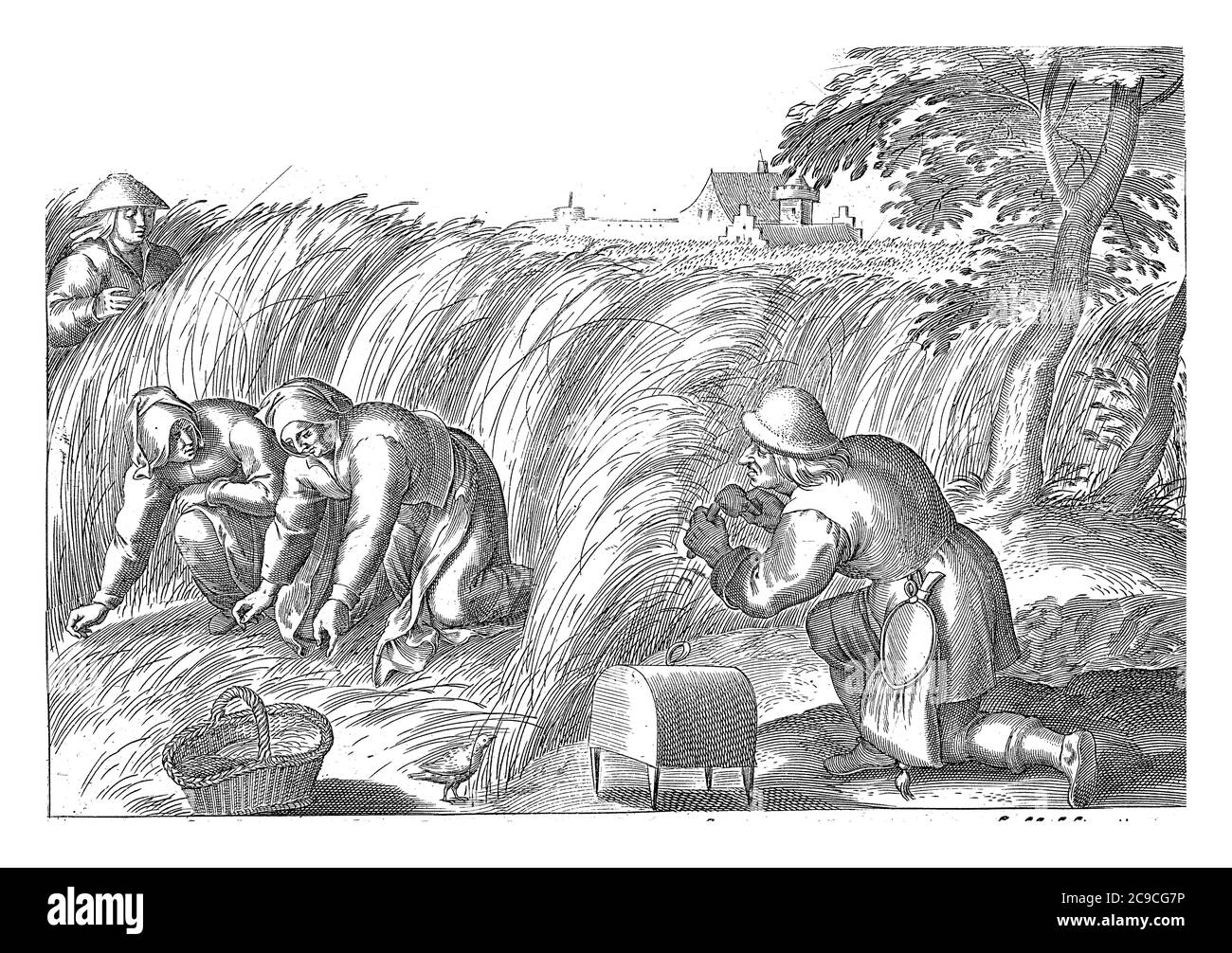 Unkraut auf den Feldern, zwei Frauen Unkraut im Weizenfeld. Ein Mann an einem Vogelkäfig spioniert auf ihnen, Vintage Gravur. Stockfoto