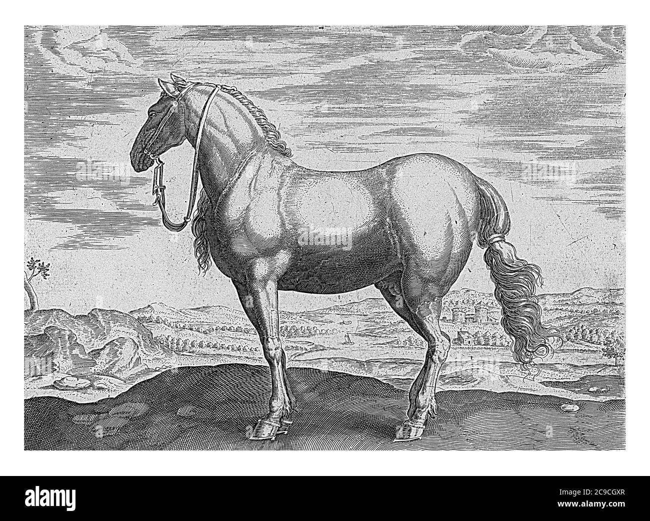 Pferd aus Norditalien, anonym, nach Hans Collaert (I), nach Hendrick Goltzius, nach Jan van der Straet, 1624 - vor 1648 EIN Norditalien Stockfoto