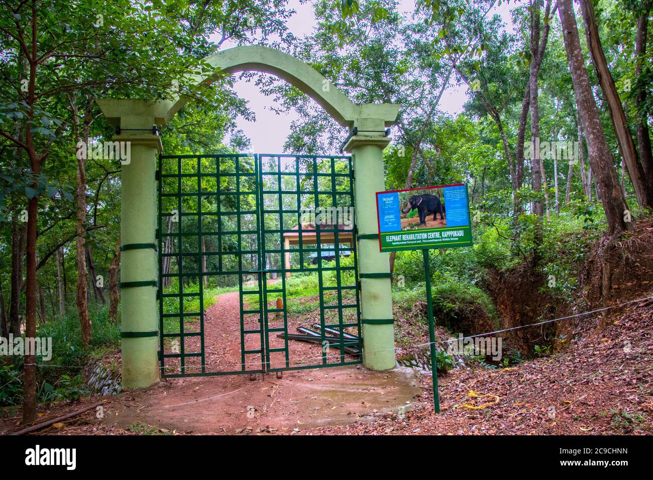 Touristen beobachten cottoor kappakadu Kleinkinder Elefant in Elefant Rehabilitationszentrum, Thiruvananthapuram, Kerala, Indien, Asien, PRADEEP SUBRAMANIAN Stockfoto