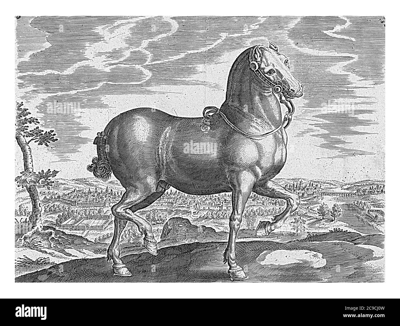 Pferd aus England, anonym, nach Hans Collaert (I), nach Jan van der Straet, 1624 - vor 1648 ein englisches Pferd in einer Landschaft, Vintage-Gravur Stockfoto